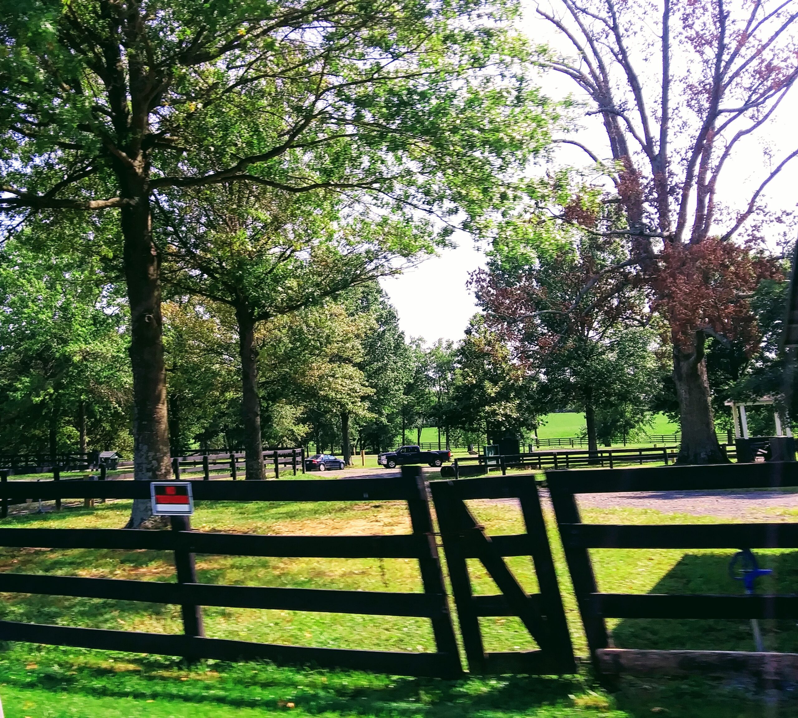 Split Rail Fence for Horse Pasture