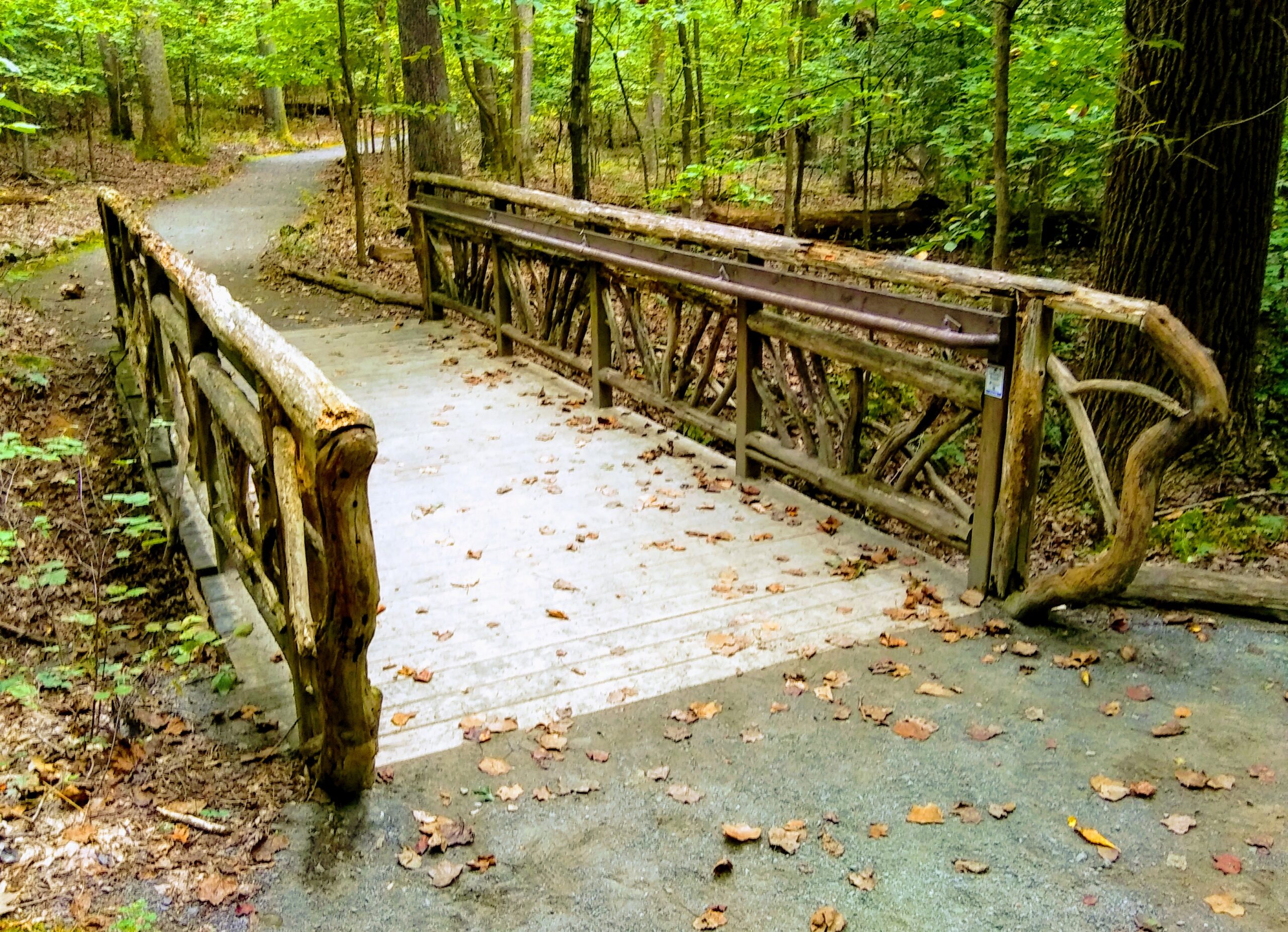 Untitled Footbridge