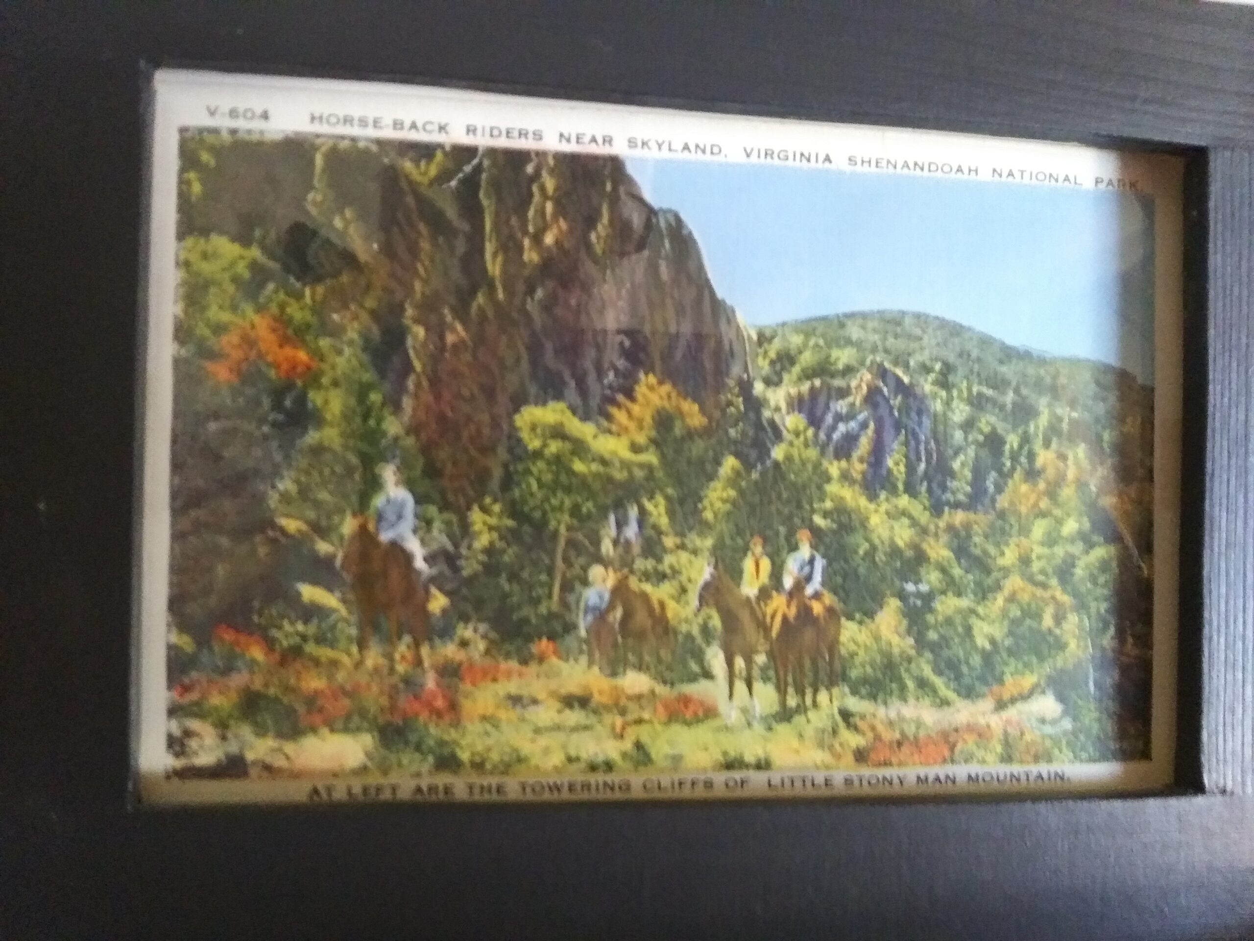 Vintage Post Card of Horse Back Riders near Skyland