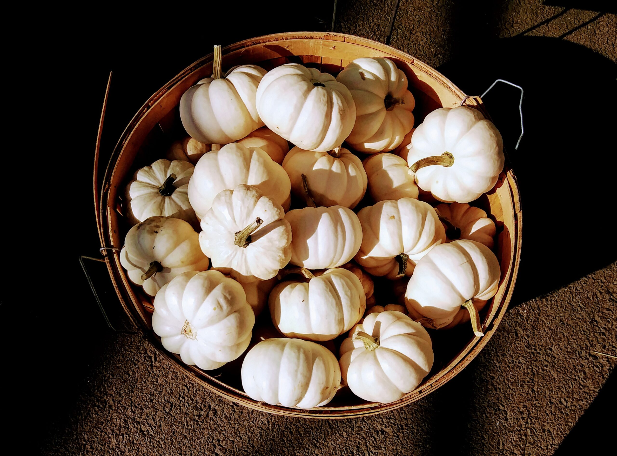 Basket of Mini White Pumpkins