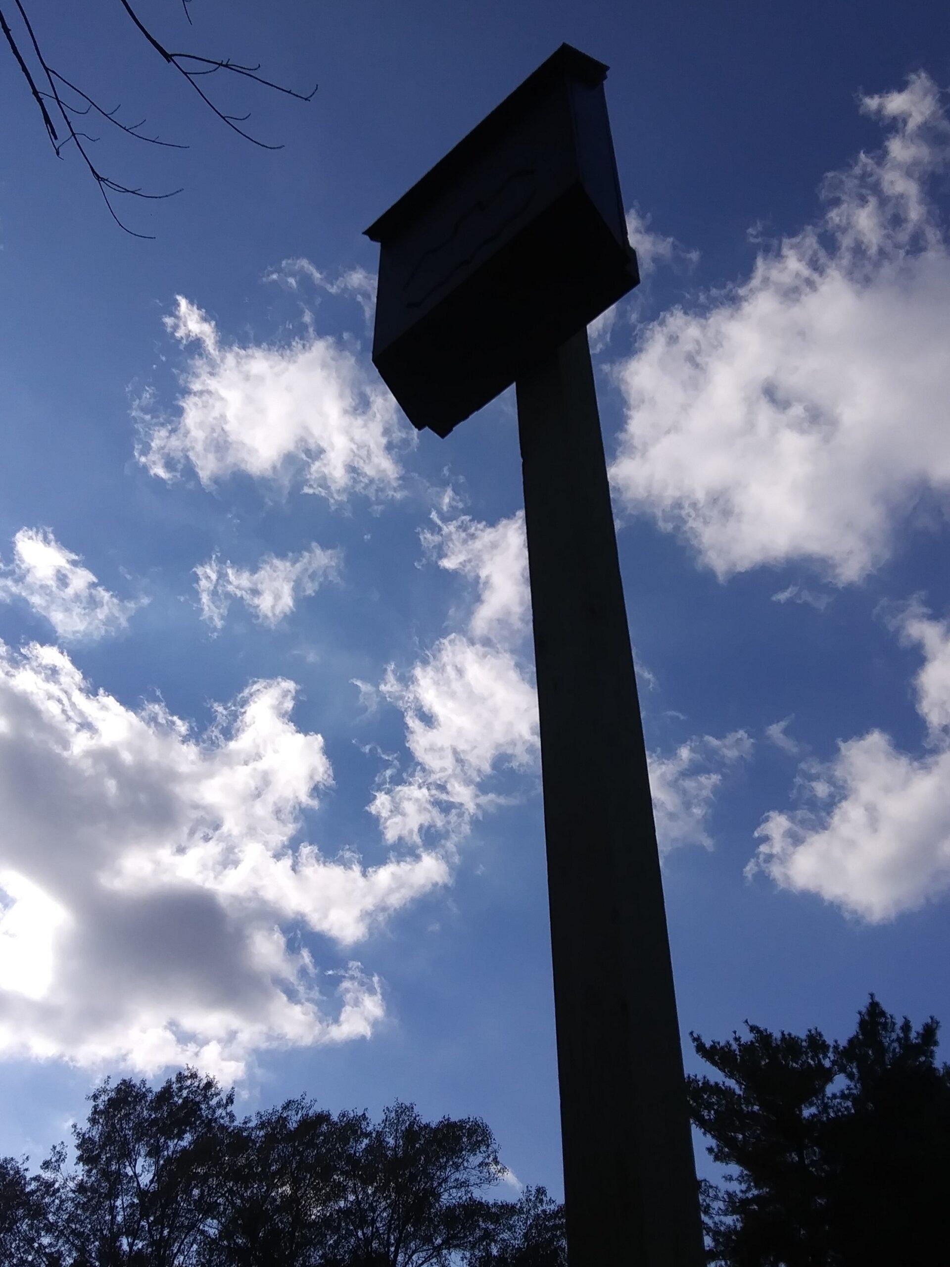 Bat Box and Blue Sky