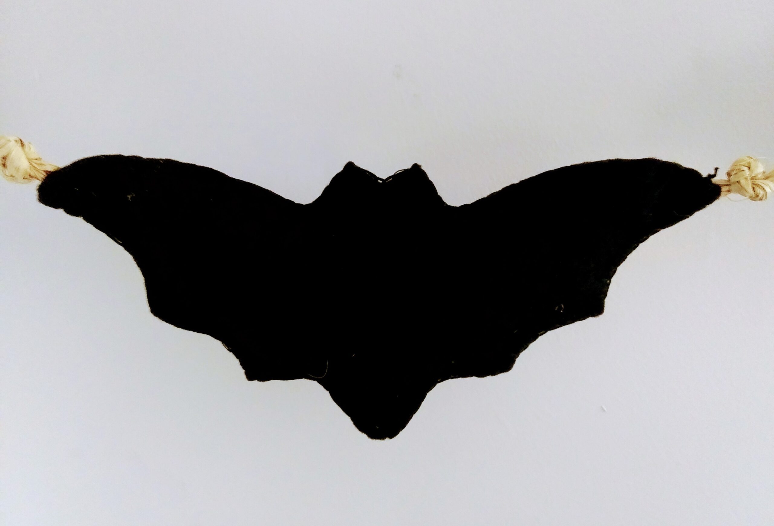 Black Felt Bat