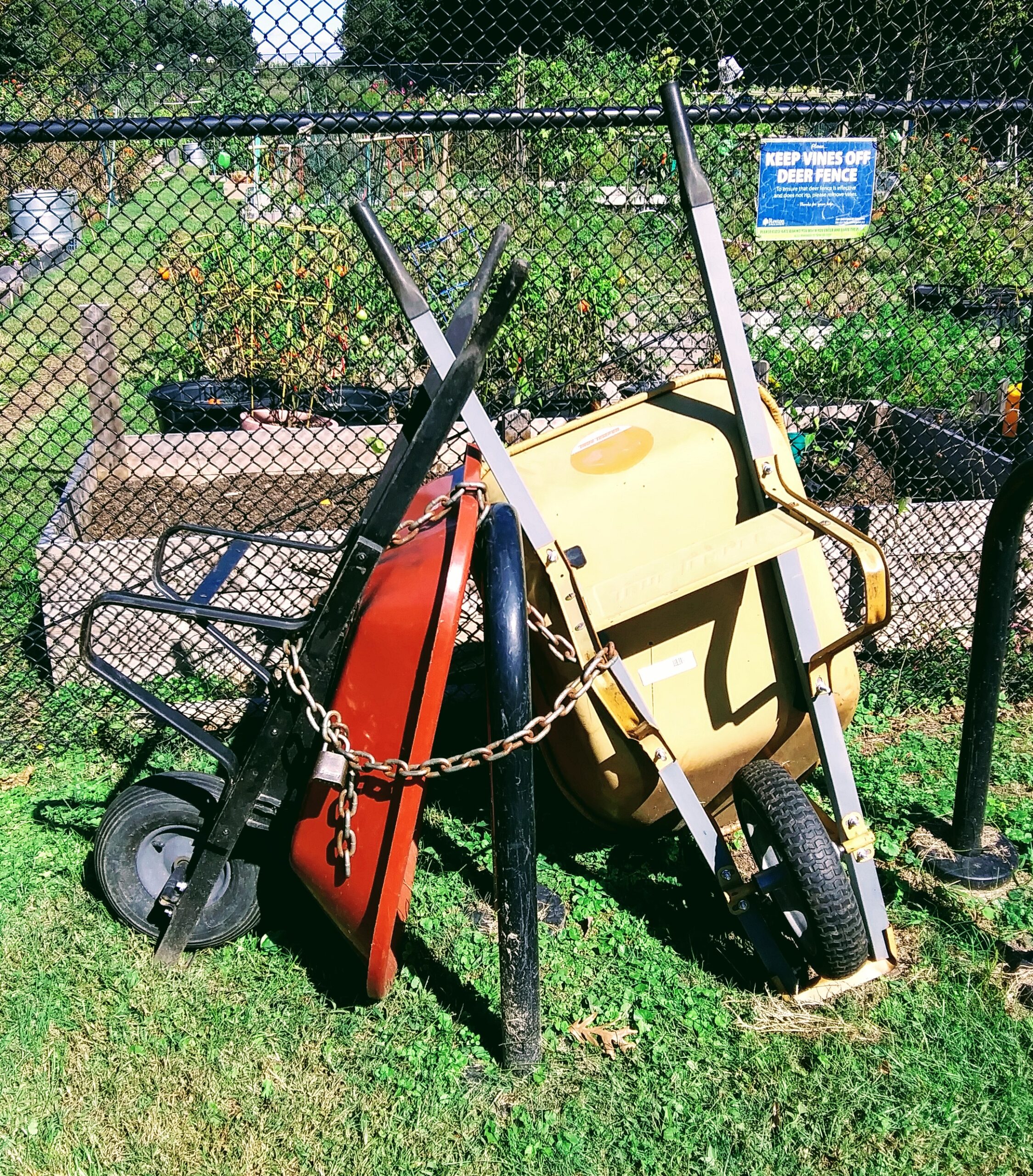 Chained Wheelbarrows