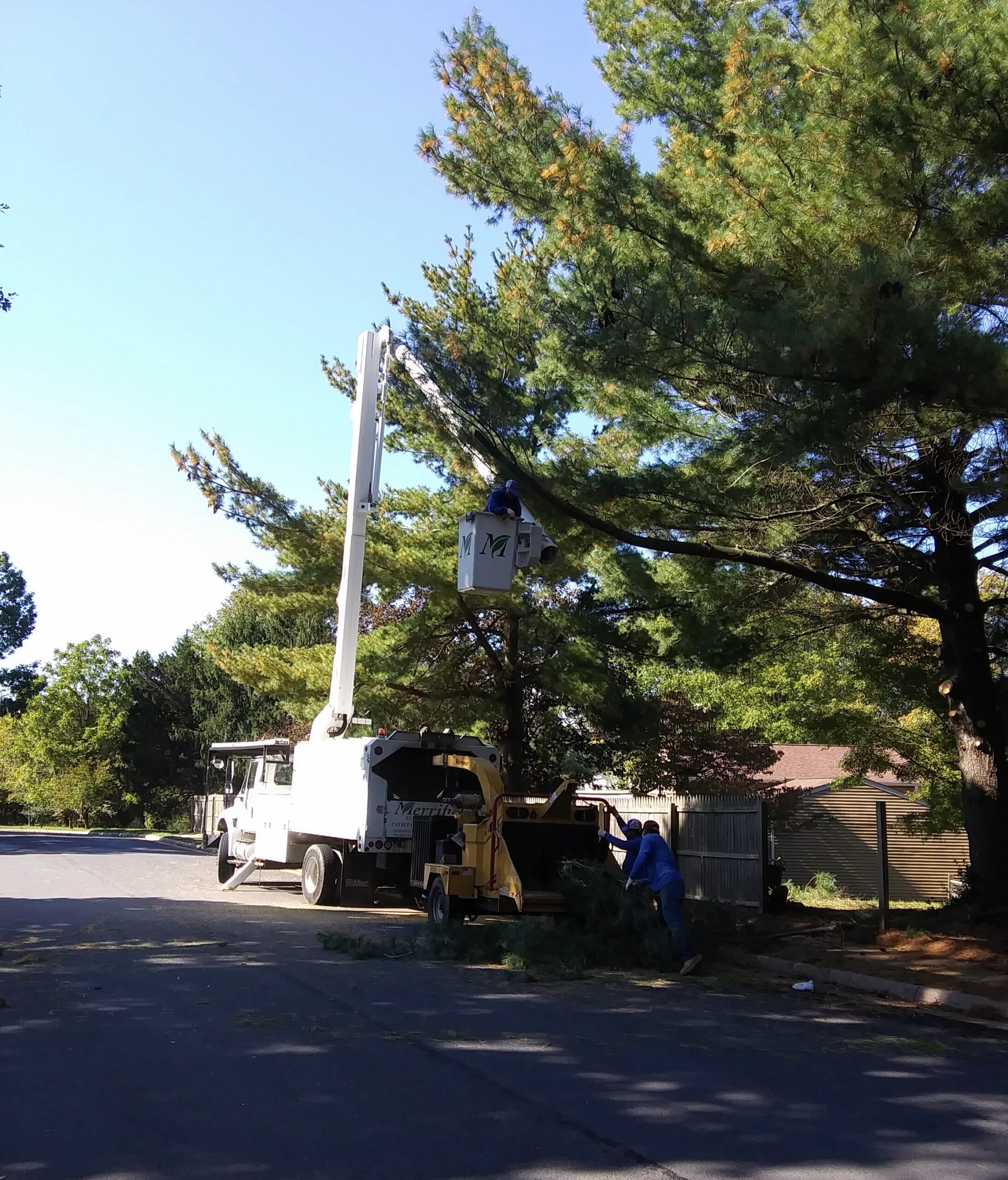 Cherry Picker for Tree Trimming