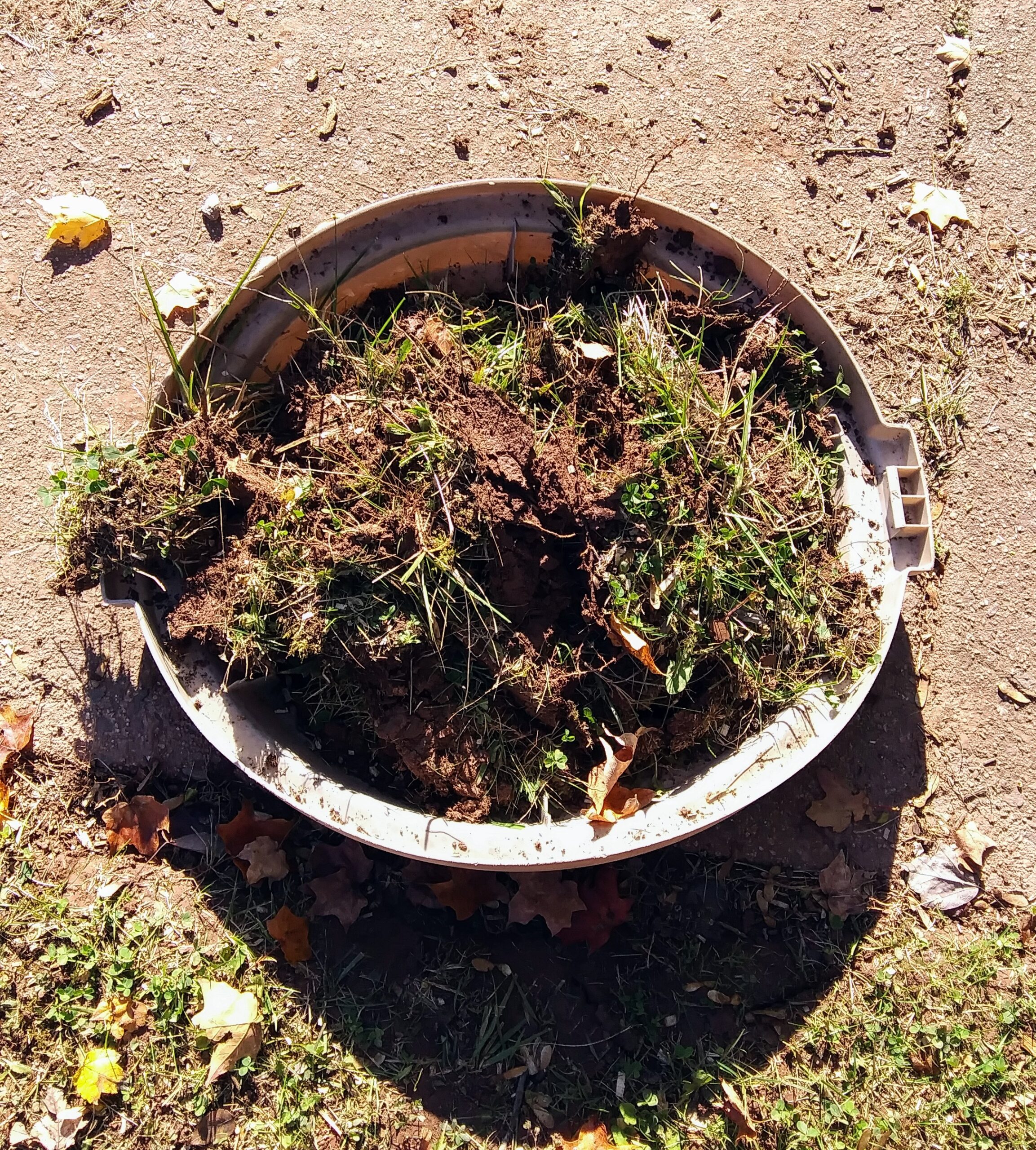 Excess Sod and Grass Cuttings