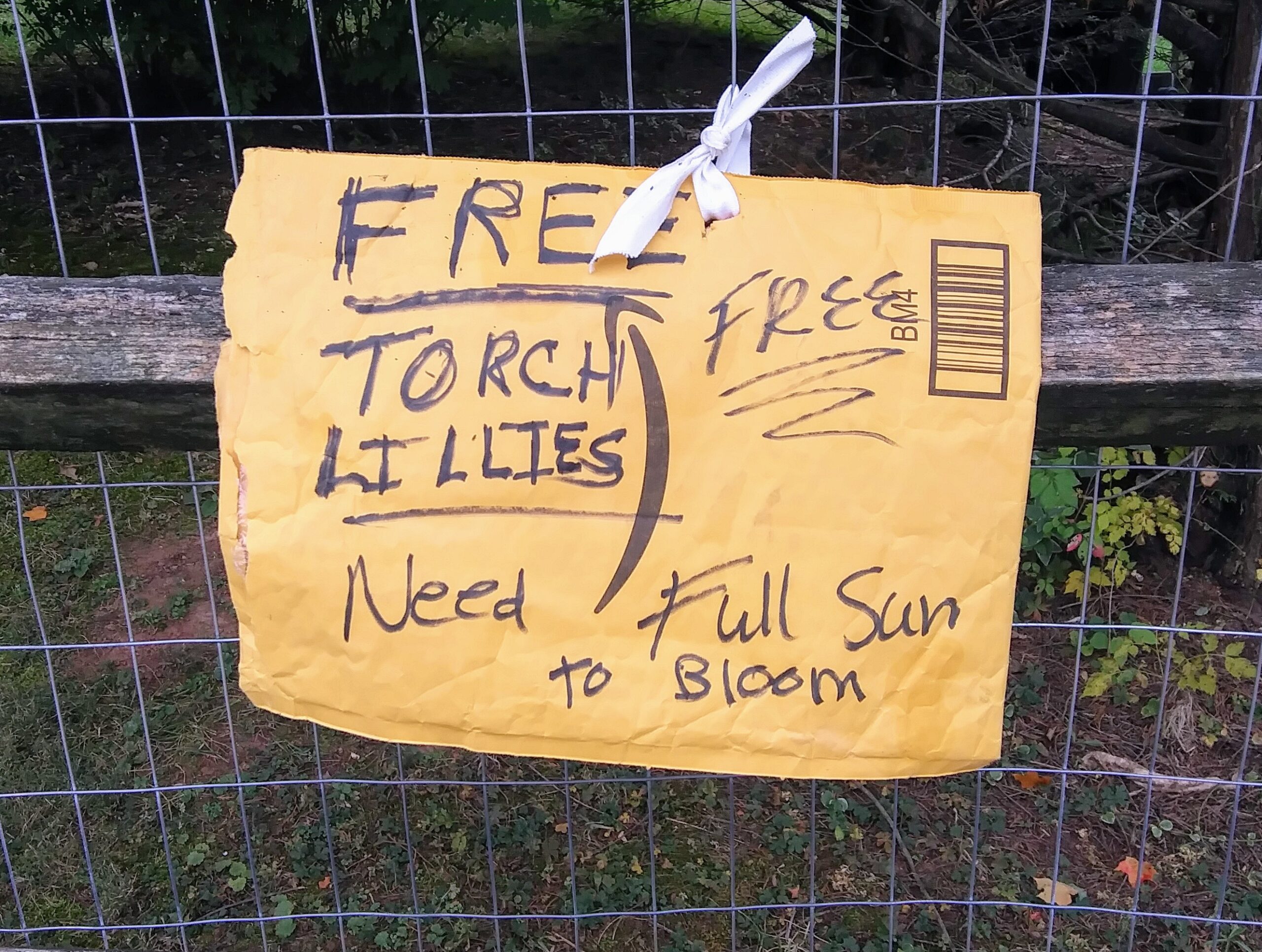 Free Torch Lilies Sign