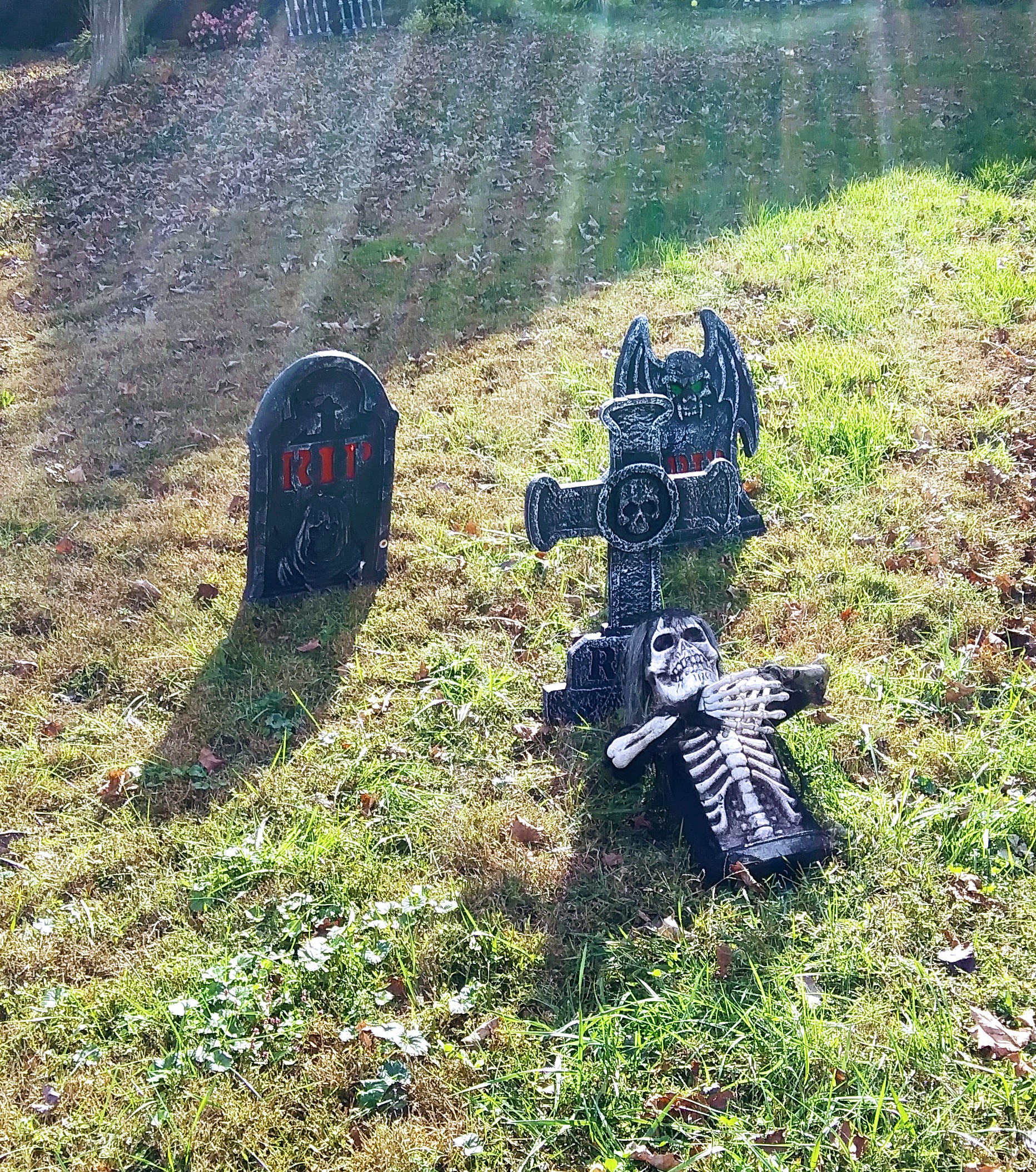 Grave Yard in Sun Beams