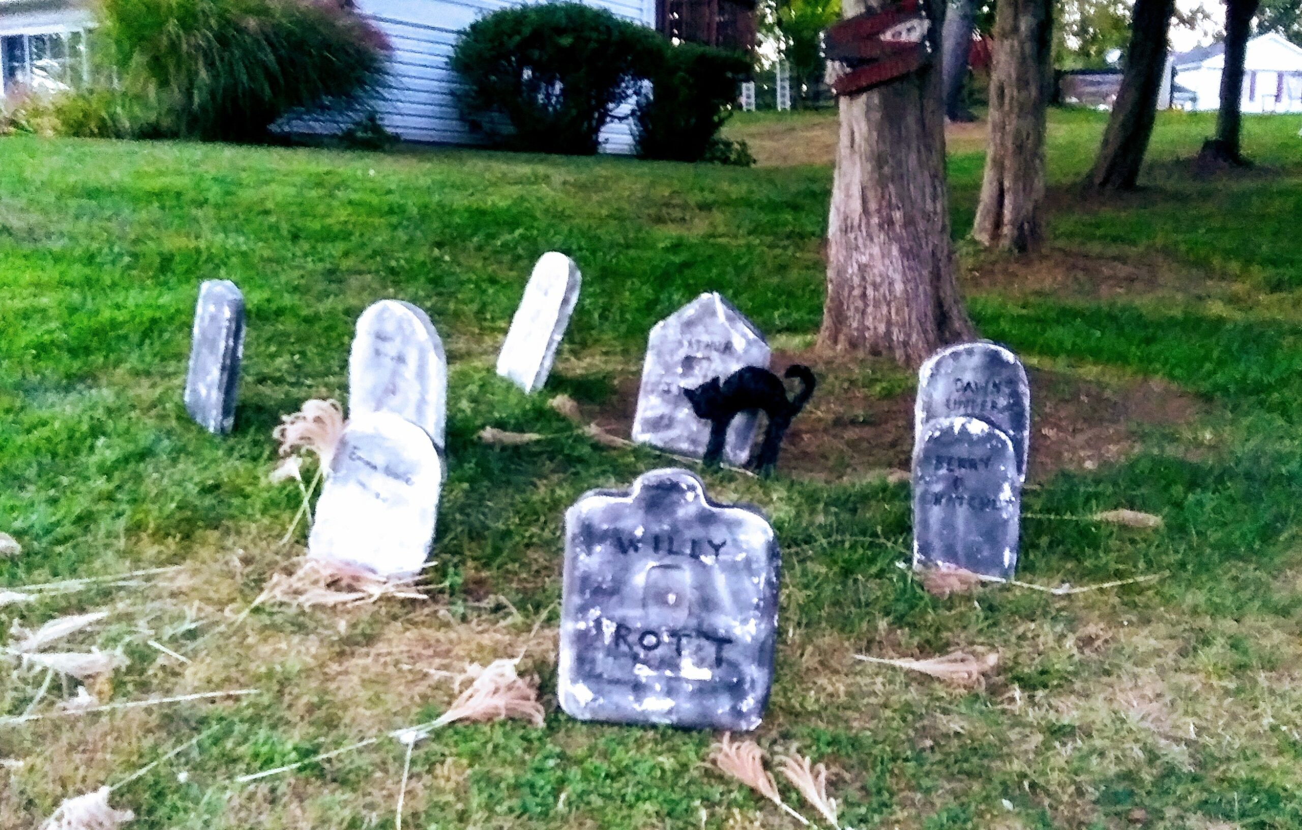 Grave Yard and Tree Roots