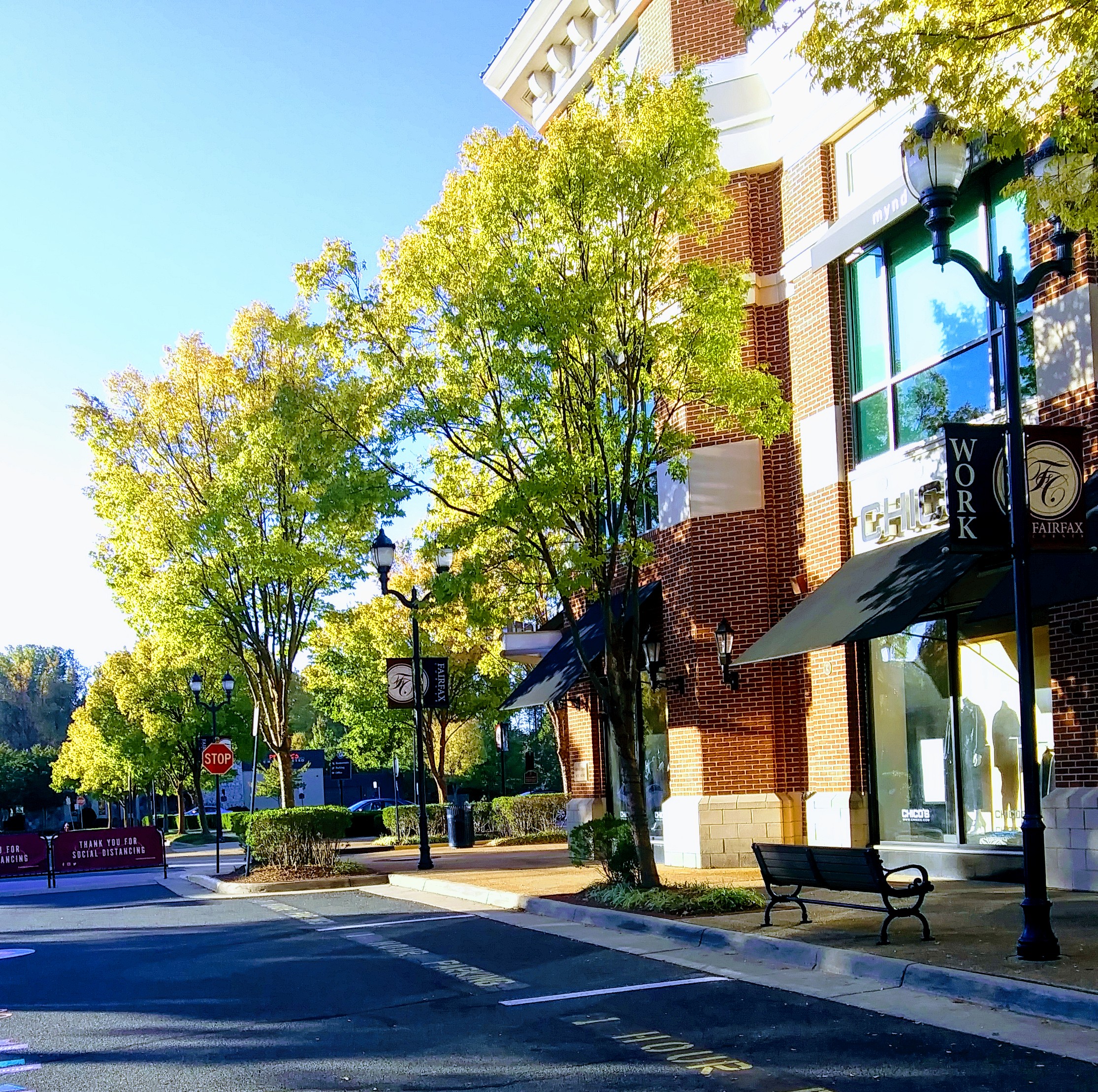 Large Trees Near Stores