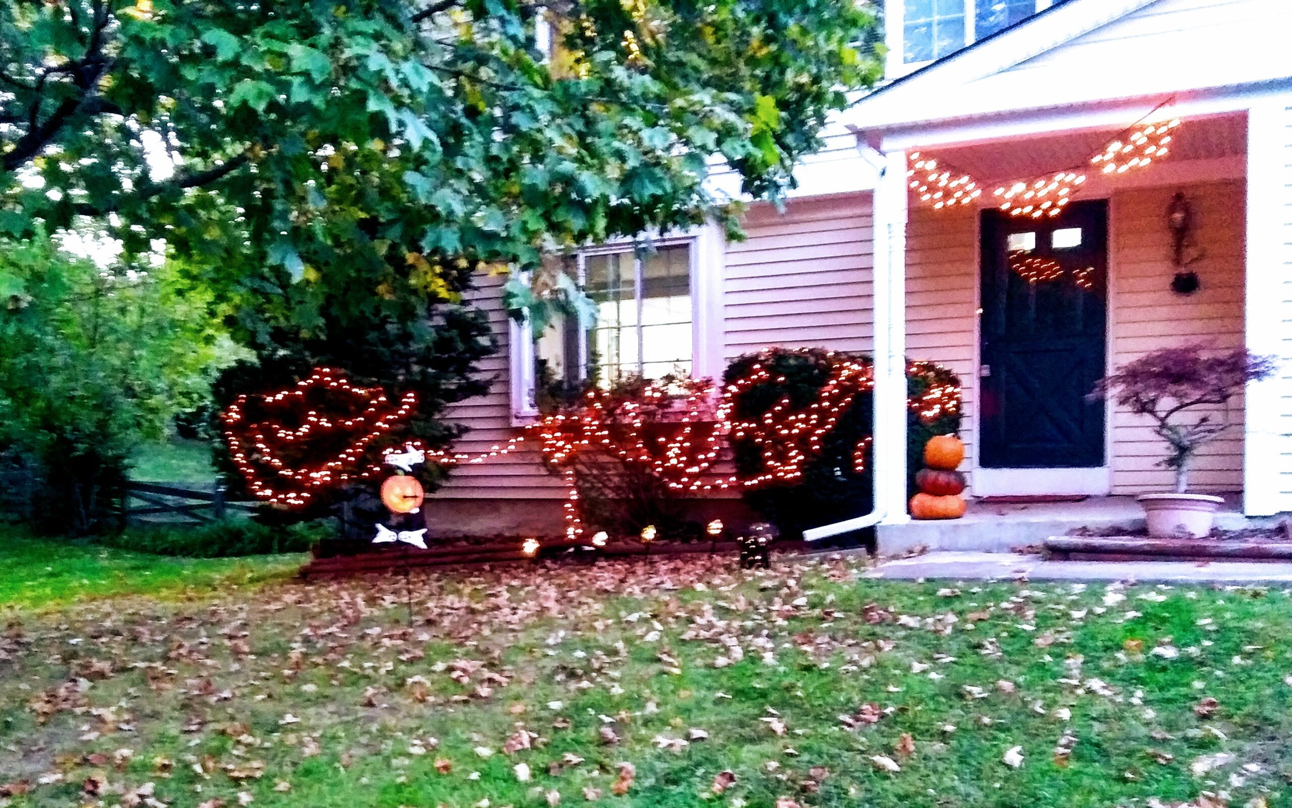 Outdoor Orange Lights