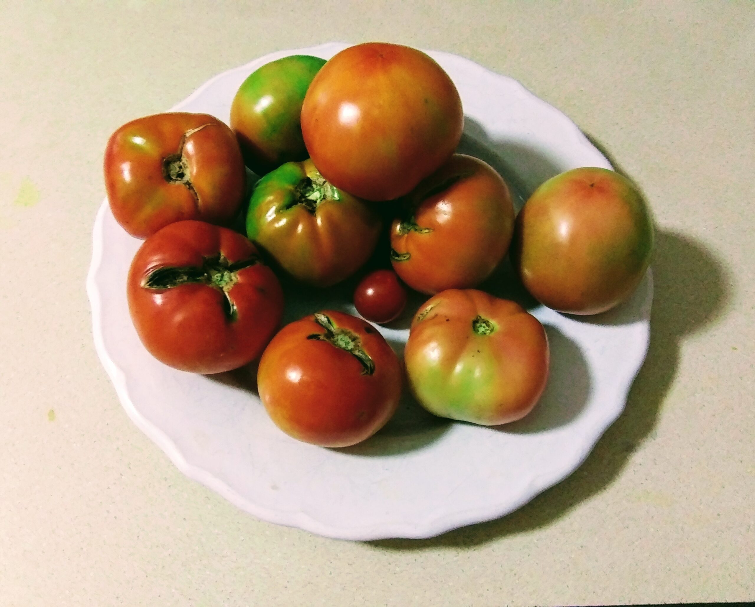 Partially Green Tomatoes