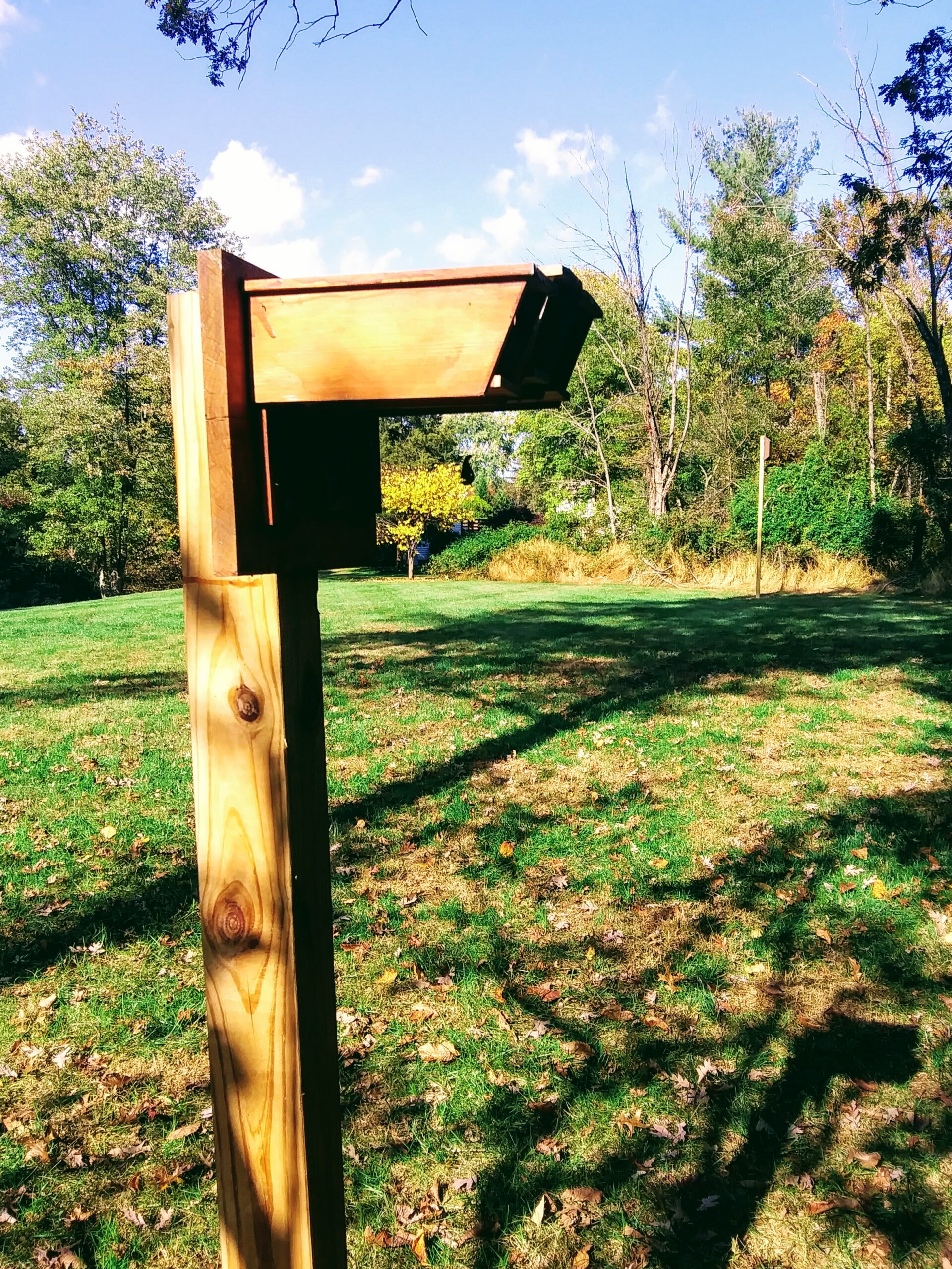 Smaller Bat Box