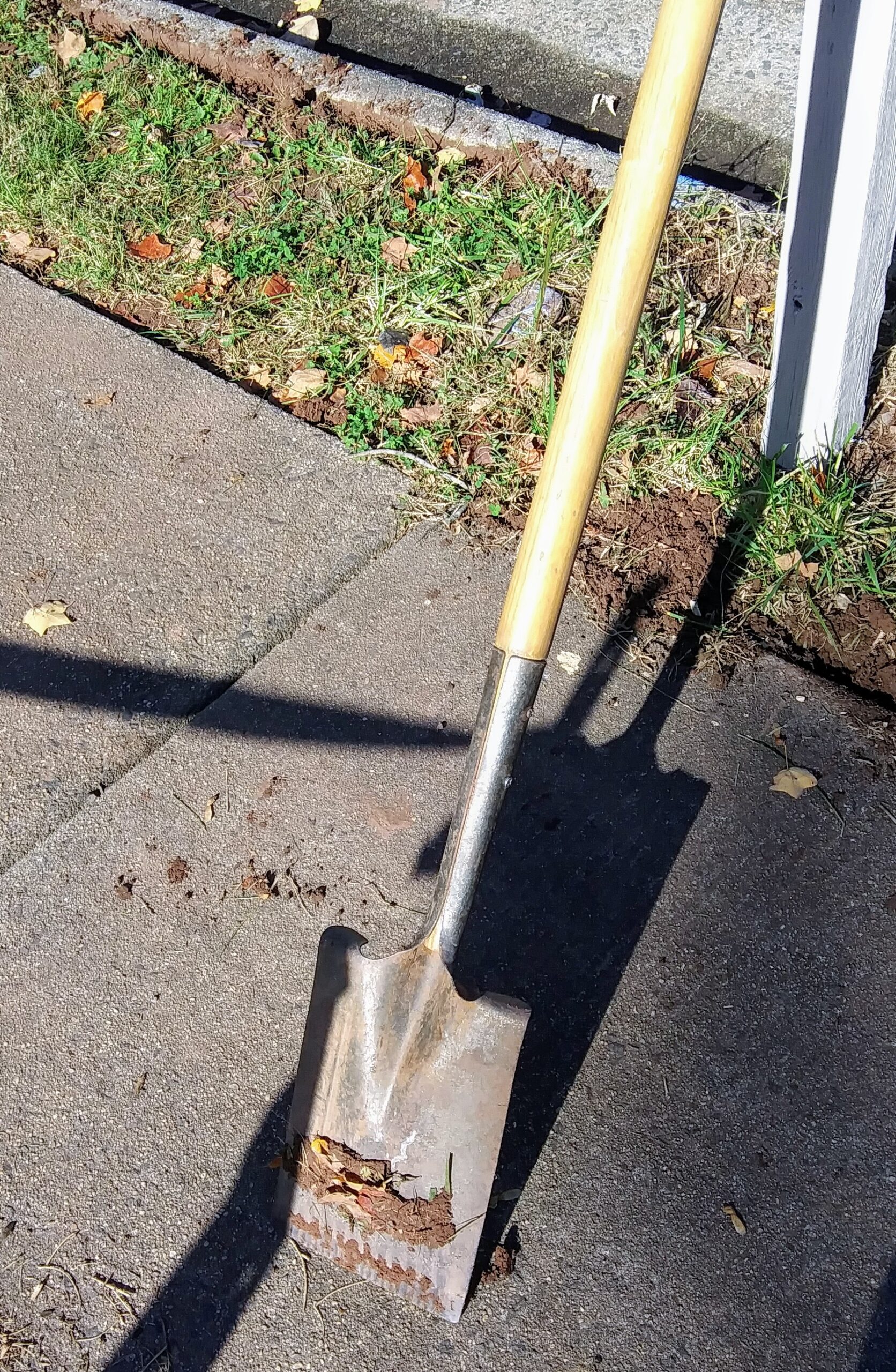 Straight Edge Shovel