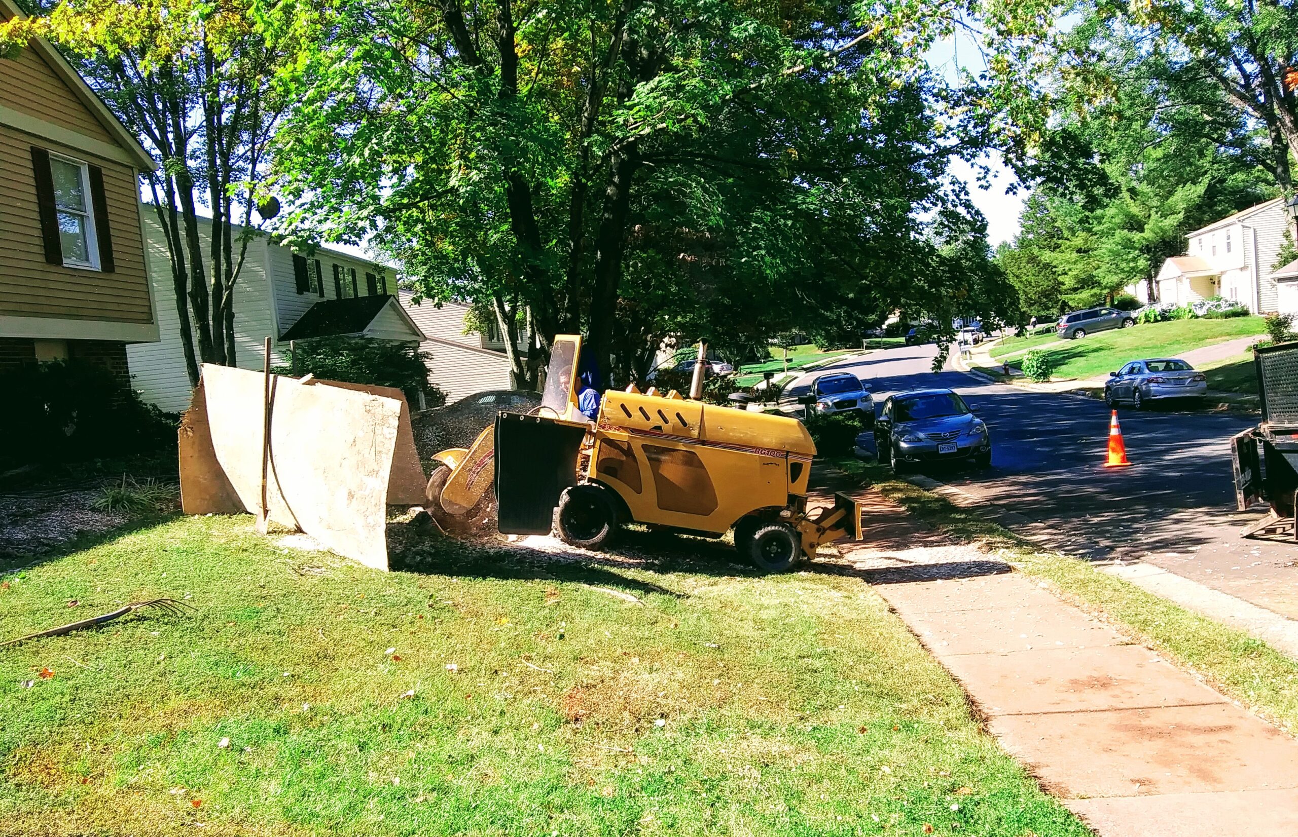 Tree Stump Grinder