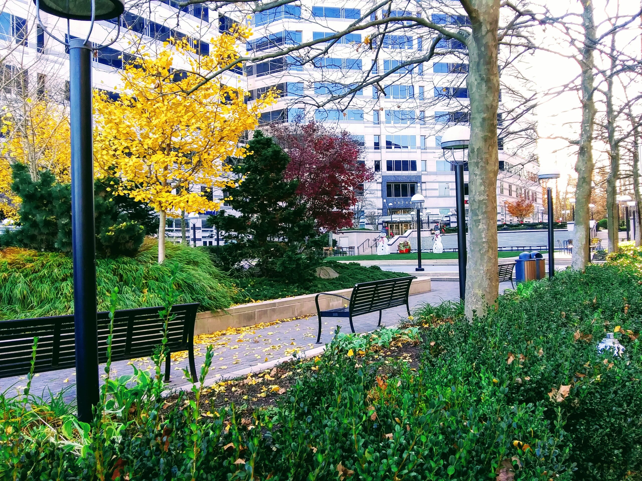 Benches on Walkway