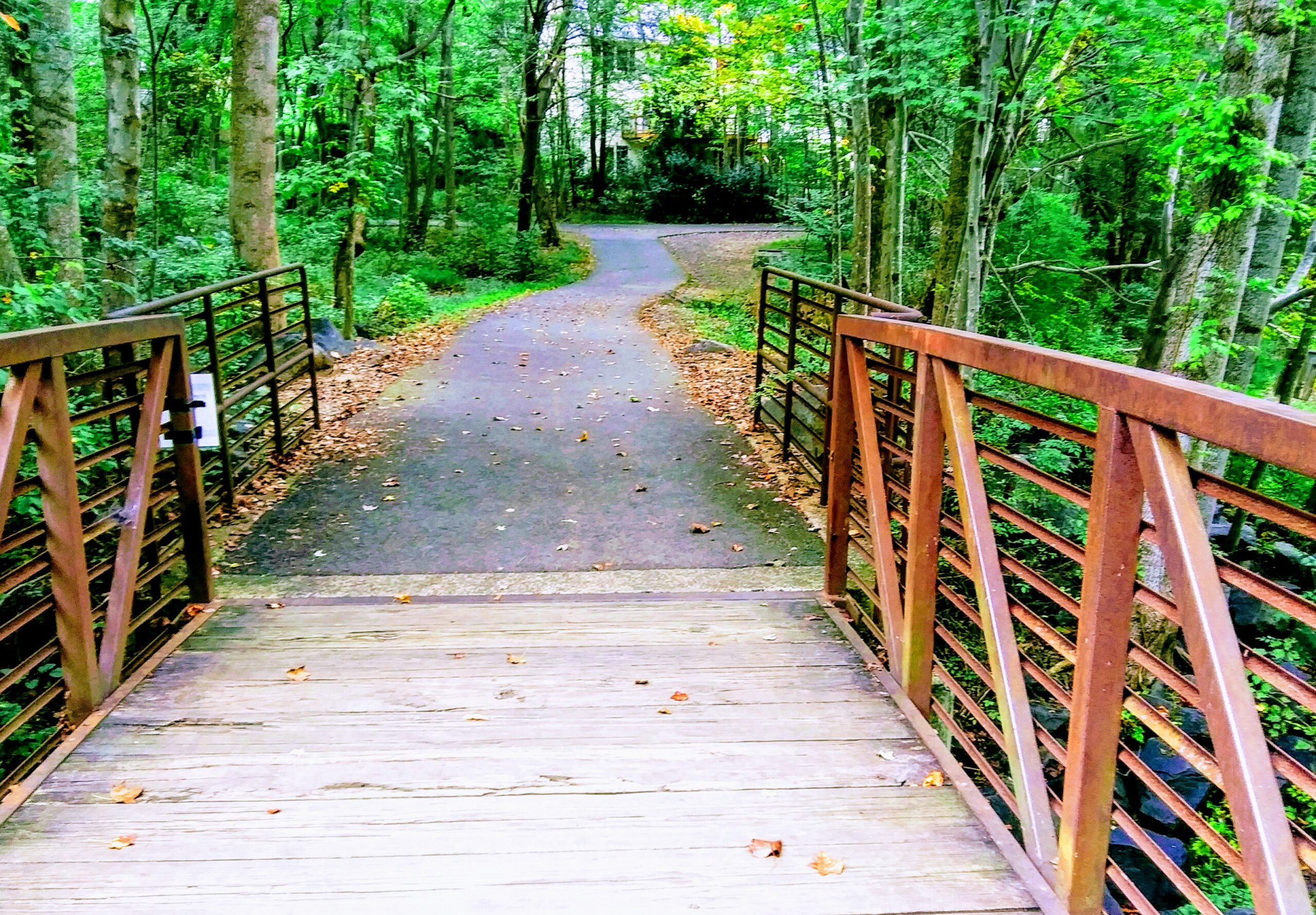 Bridge Over Creek Over Walker Nature Center