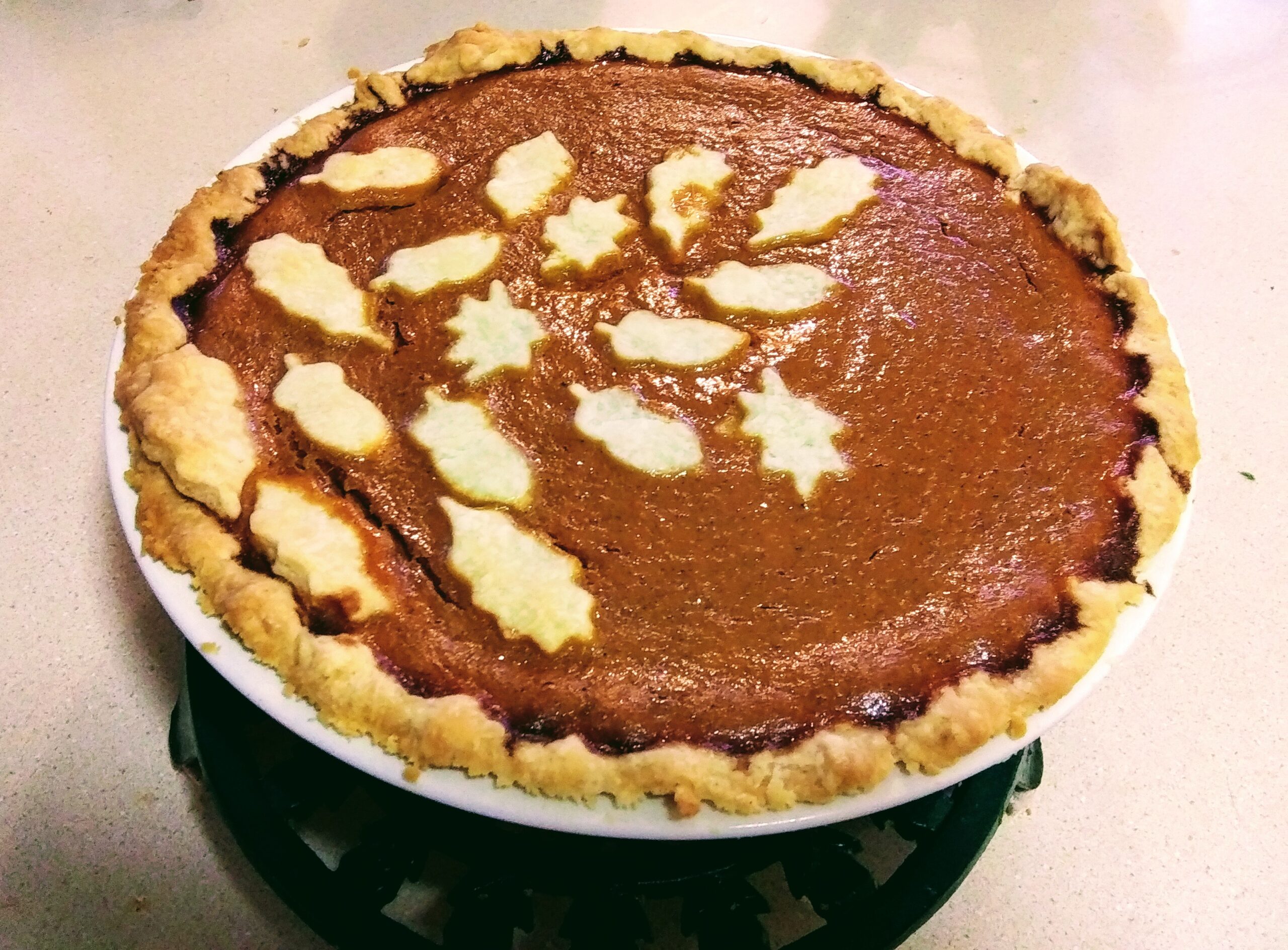 Close Up of Pumpkin Pie Cut Outs