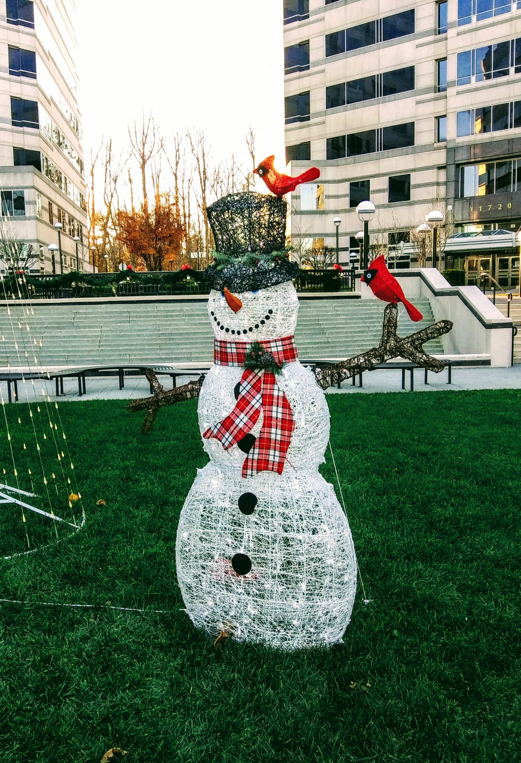 Close Up of Snowman with Cardinals