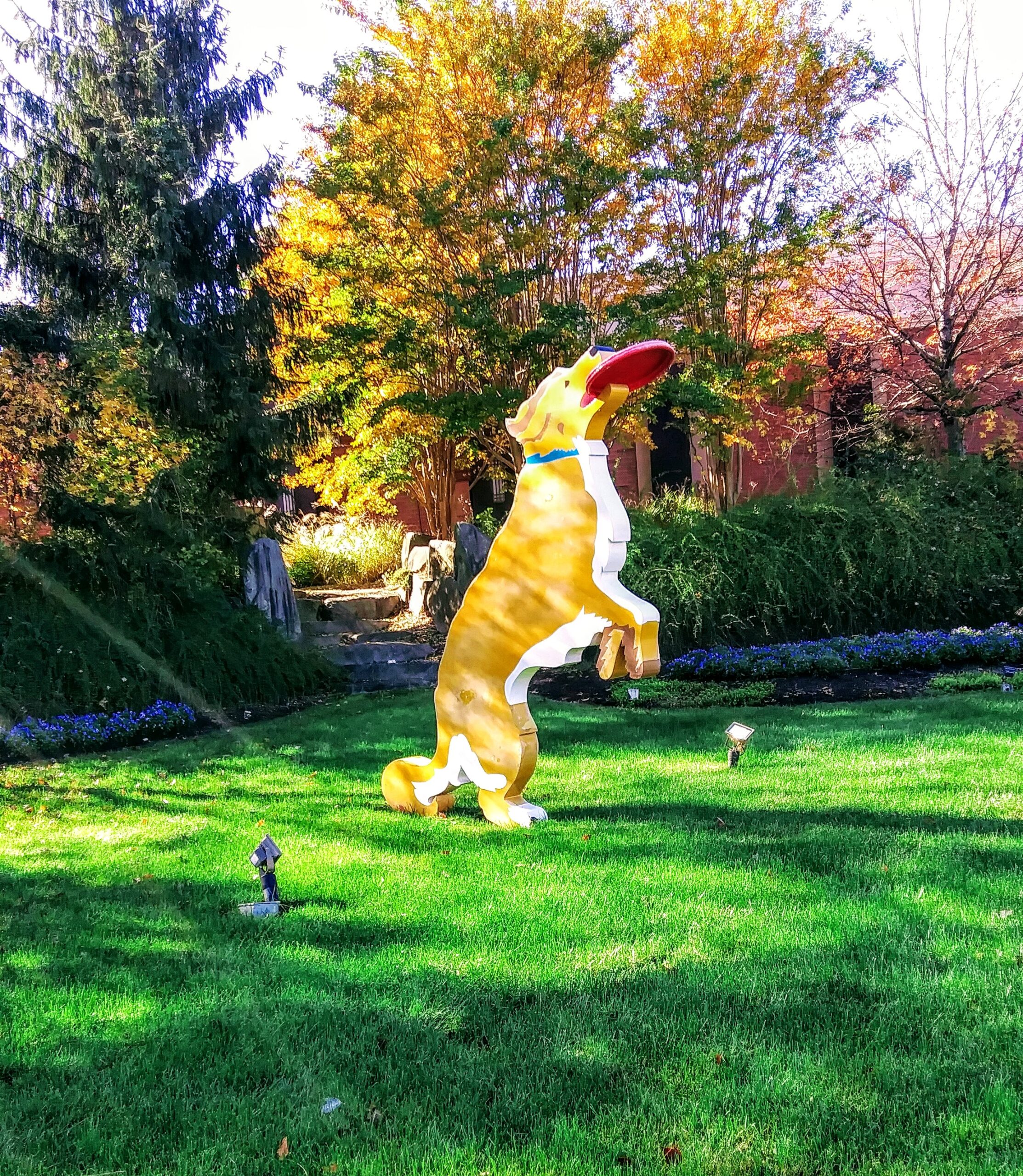 Huge Dog Sculpture with Frisbee