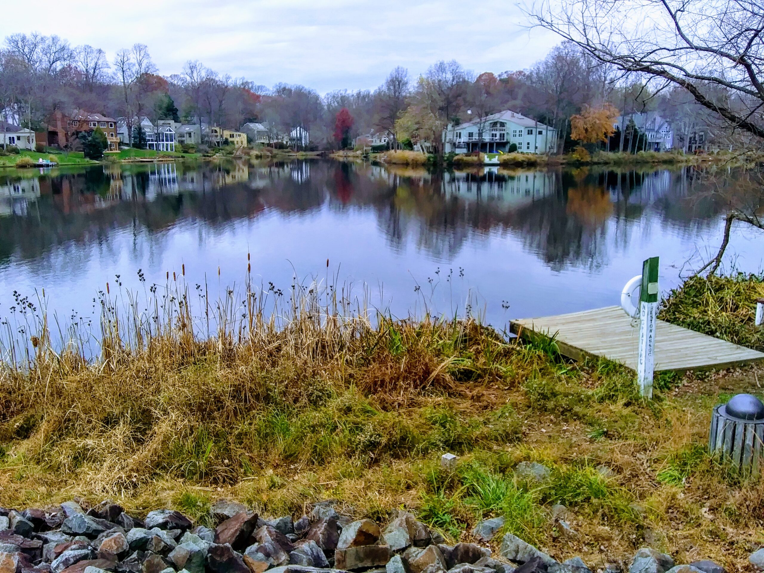 Lake Newport in Reston