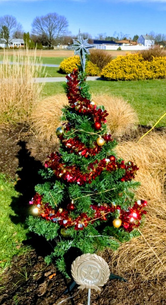 Memorial Christmas Tree, Outdoor Location