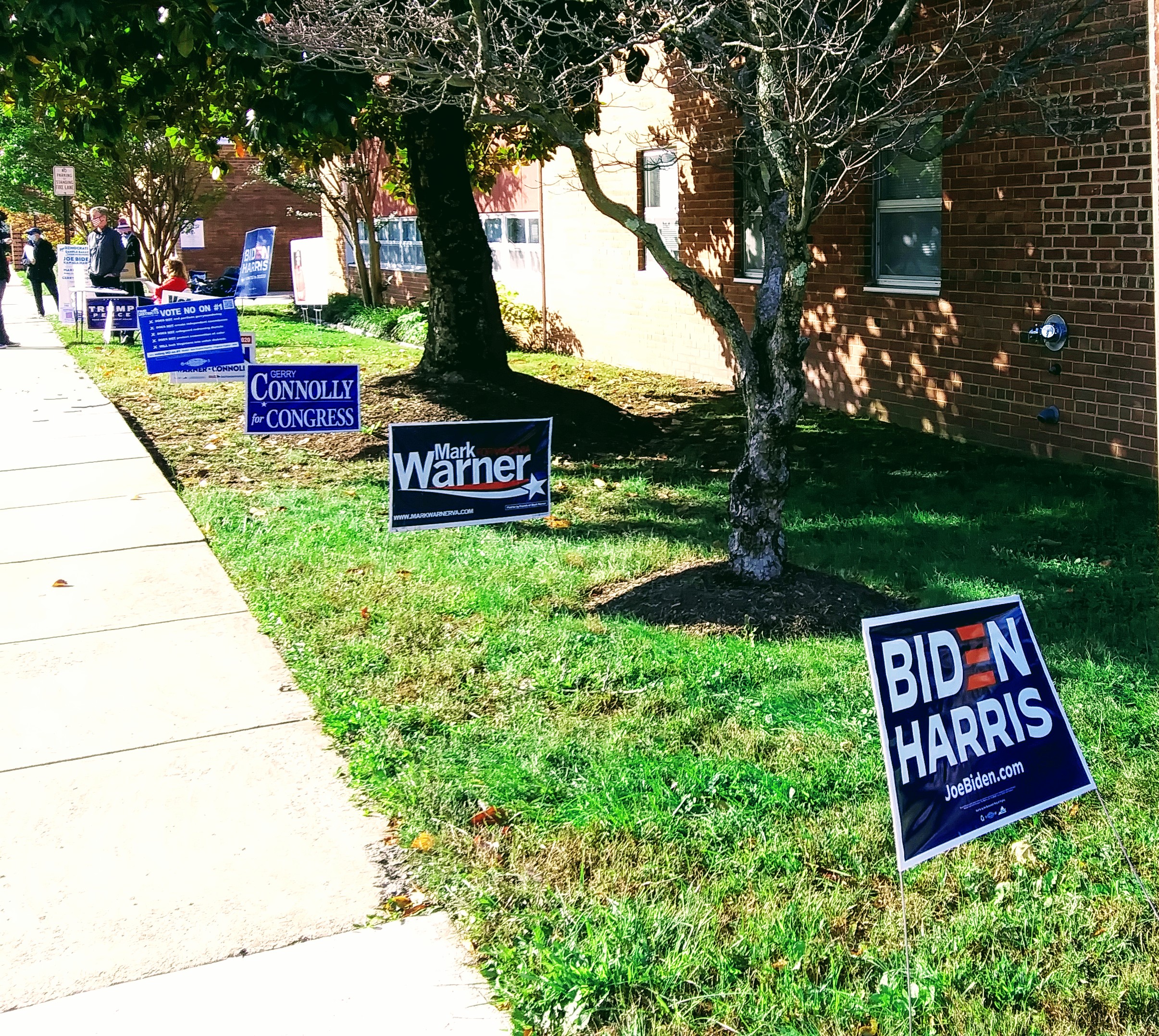 Row of Campaign signs Outside of Voting Place