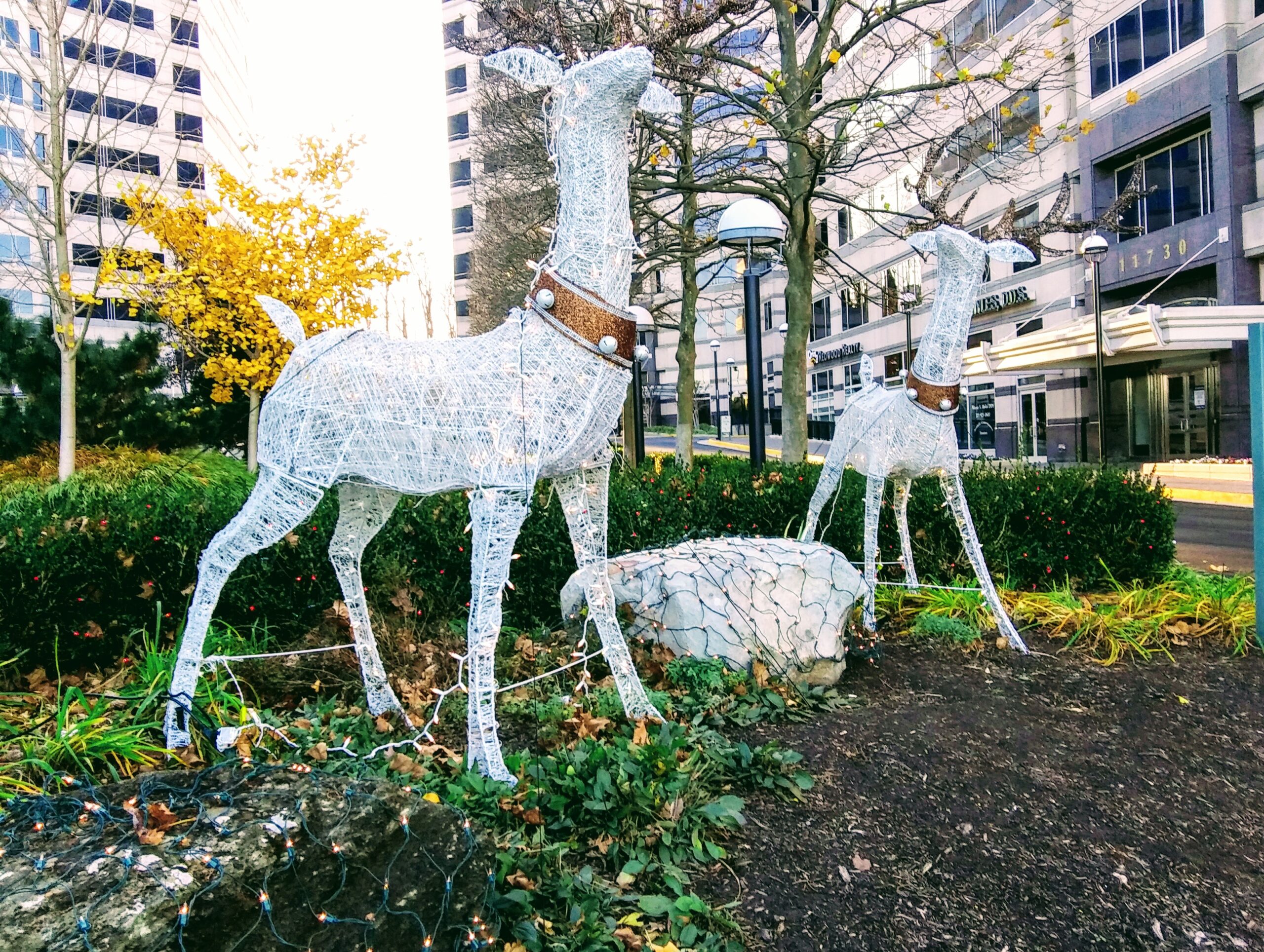 Outdoor Holiday Decorations