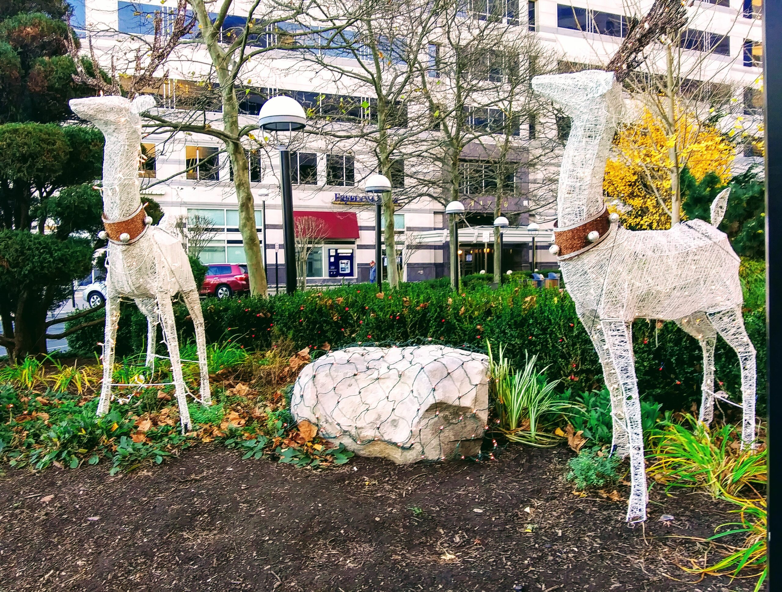 Two Reindeer Holiday Decorations