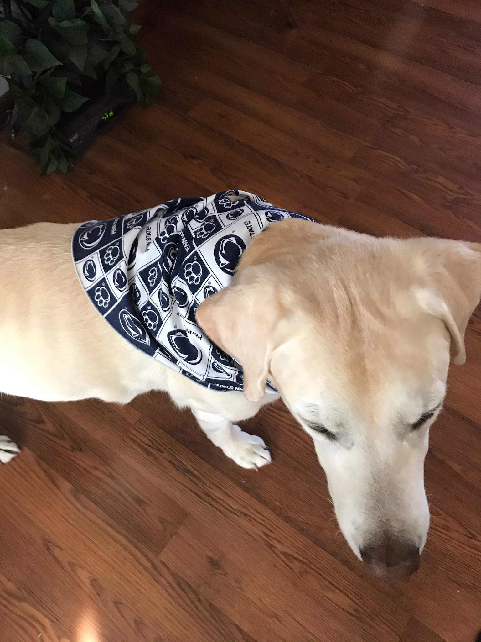 Deuce a Big Penn State Fan