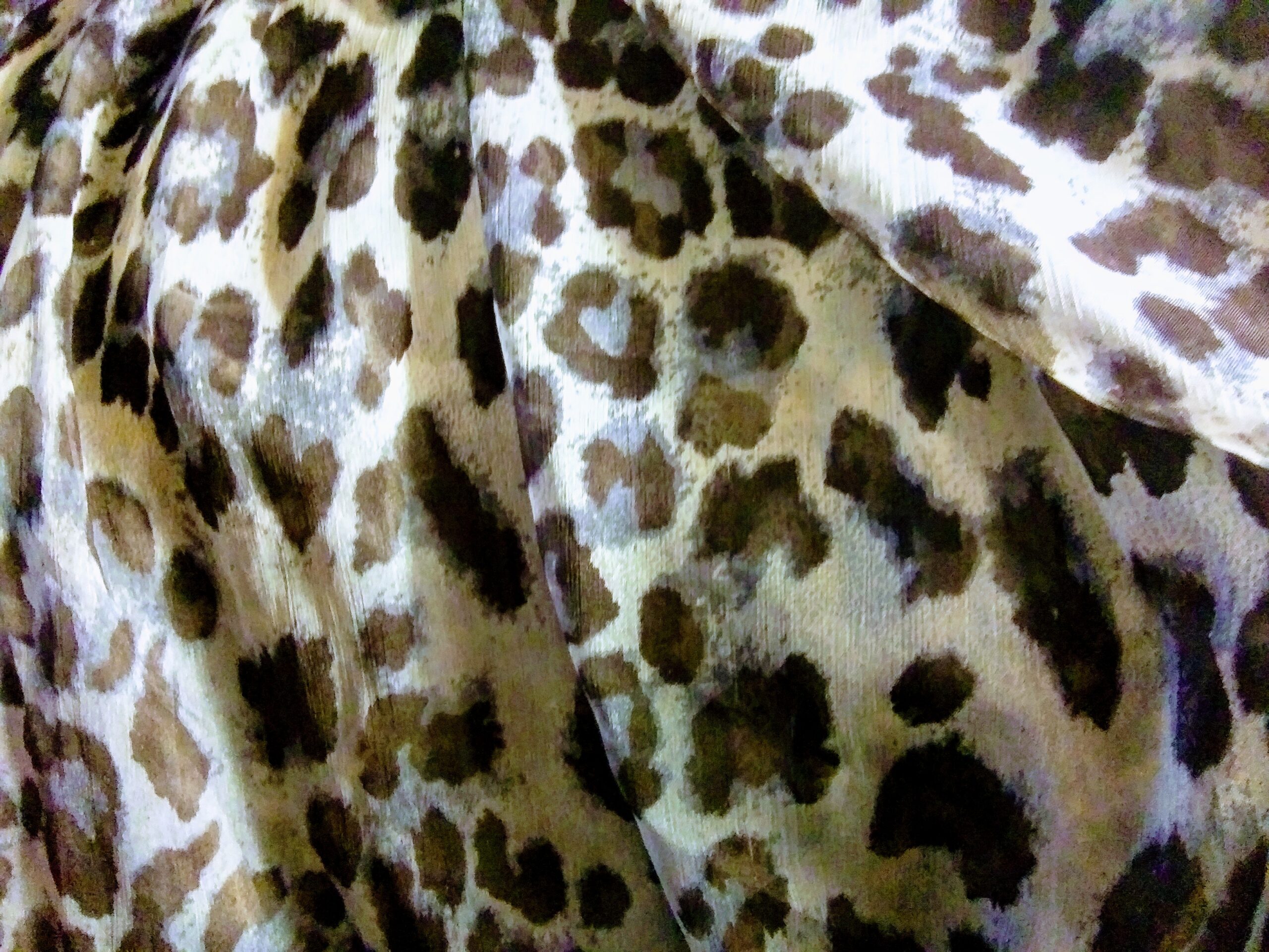 fun Leopard Print