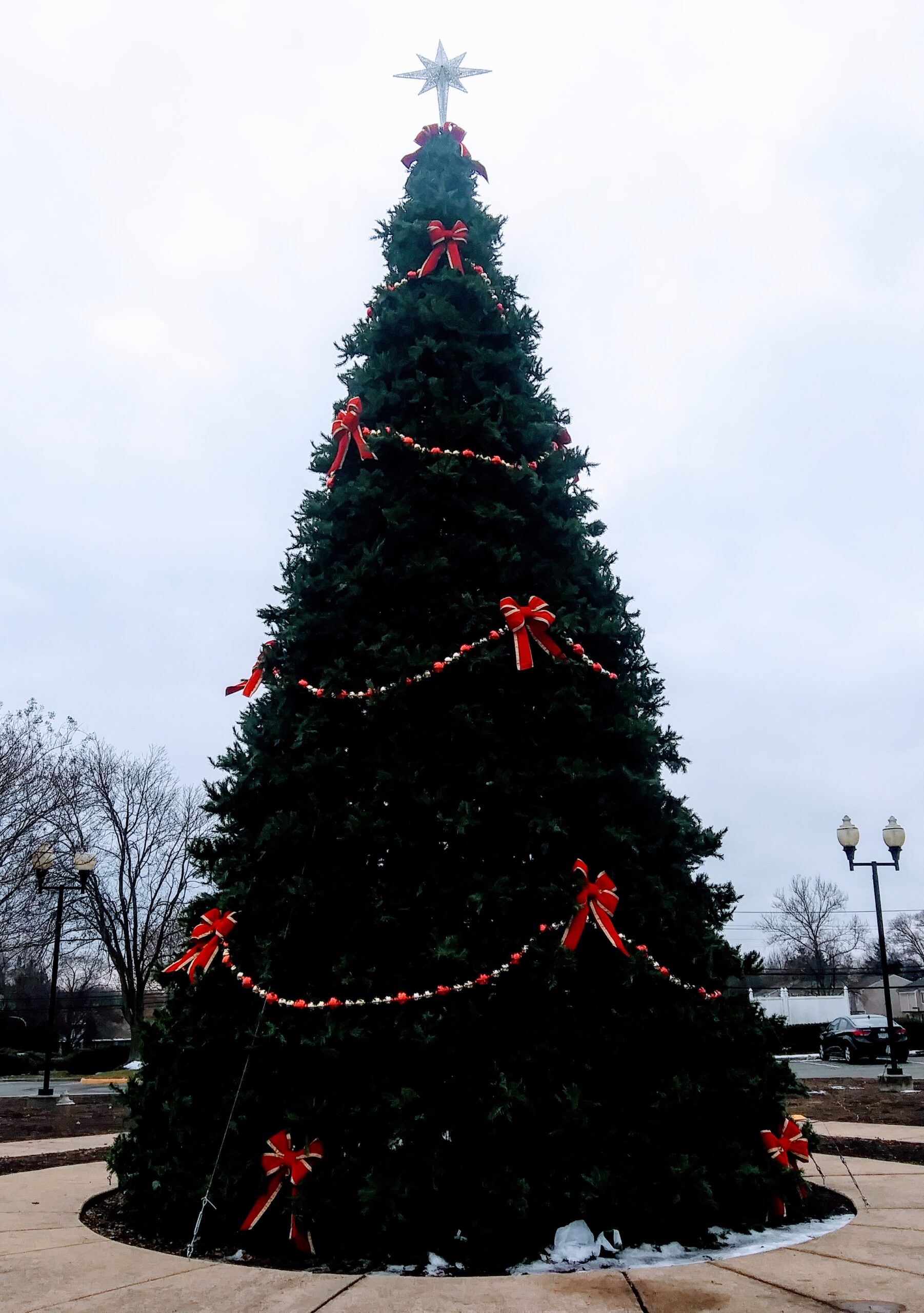 Large Christmas Tree