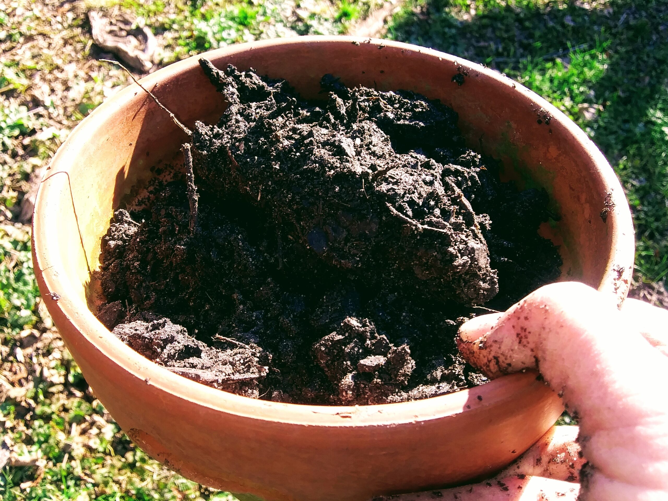 Planter Filled with Top Soil