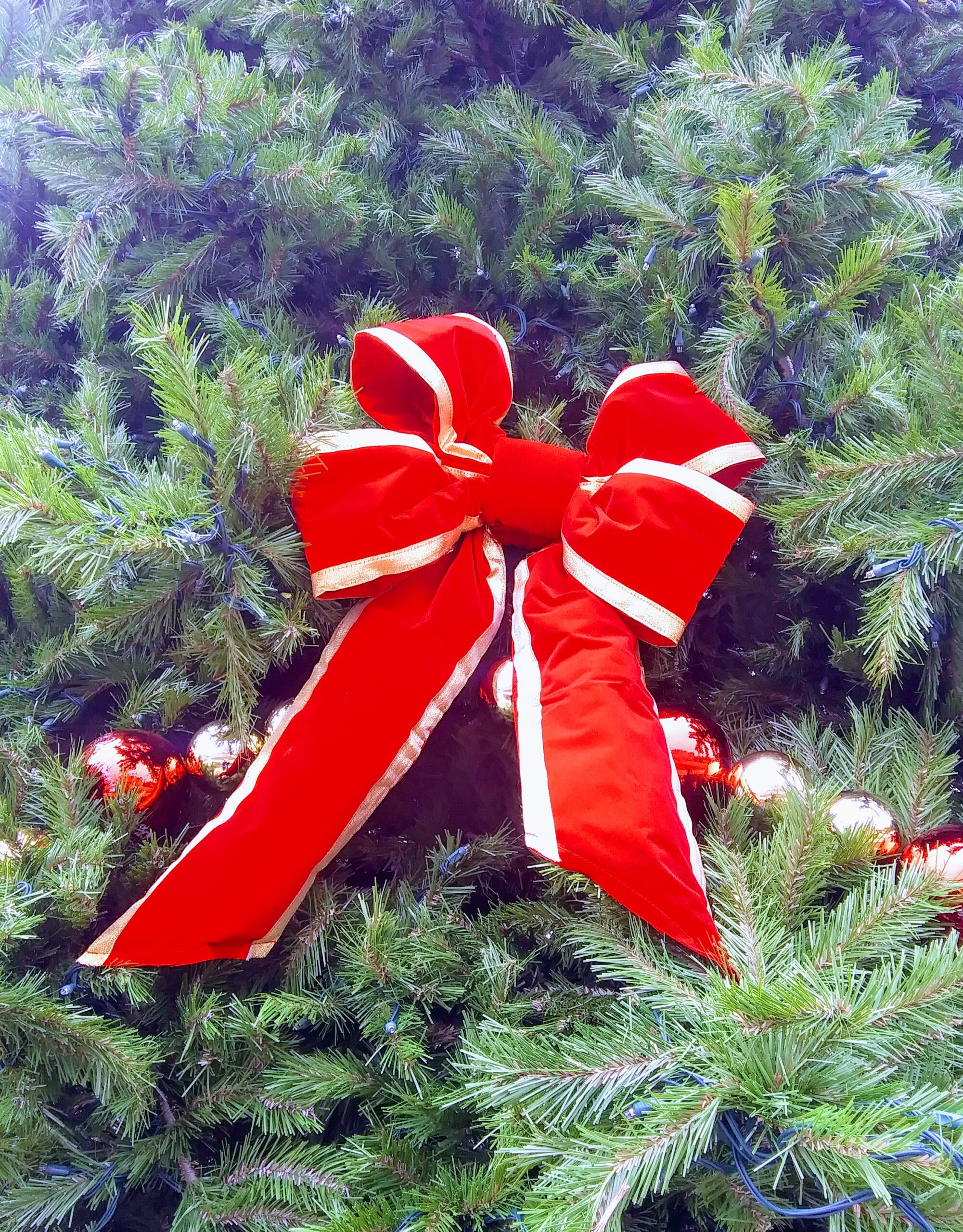 Red Bows and Trimming on Large Tree