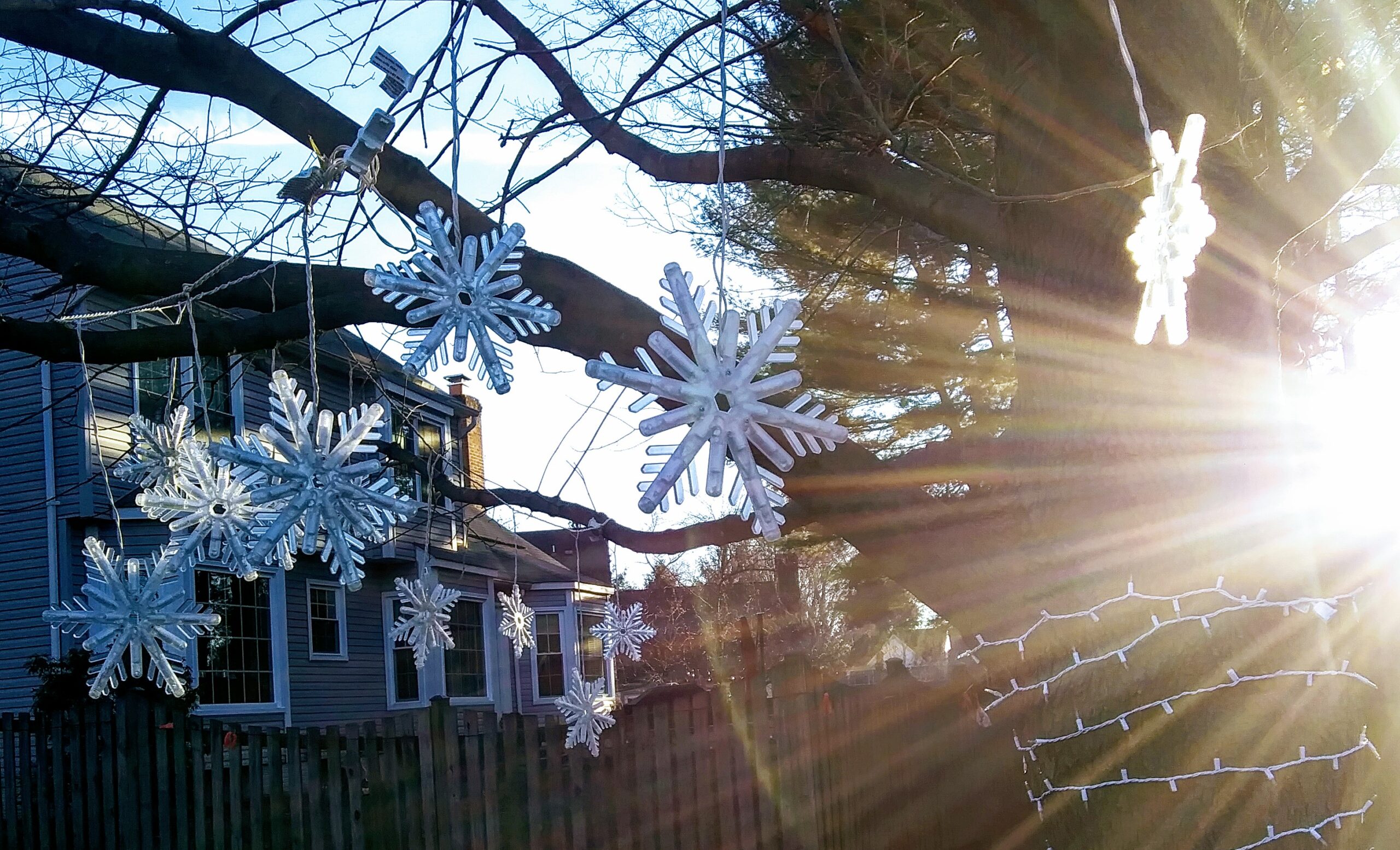 Snowflake Lights Hanging from Tree