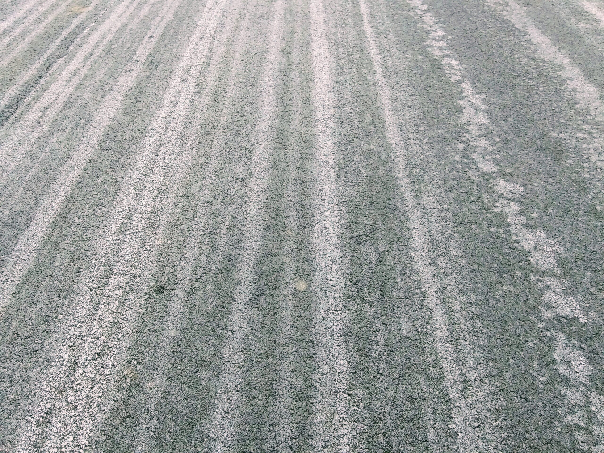 Dry Brining Stripes