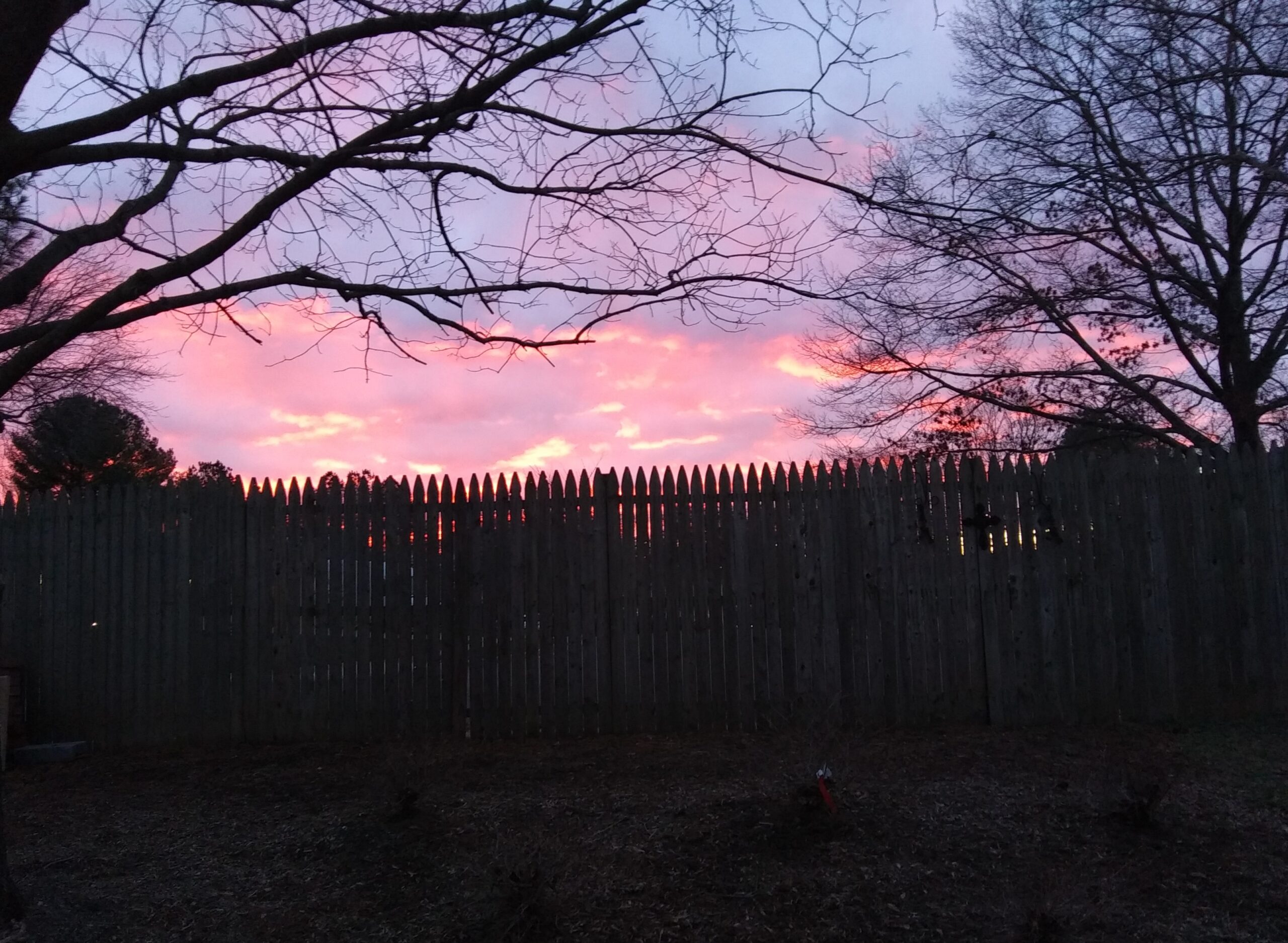 Golden Hour Morning Photograph of Sky