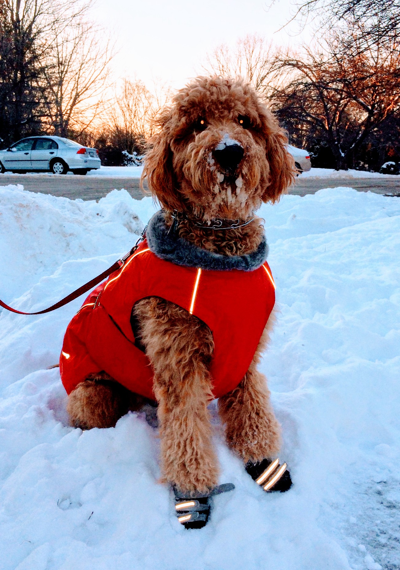 Madison in her Snow Outfit