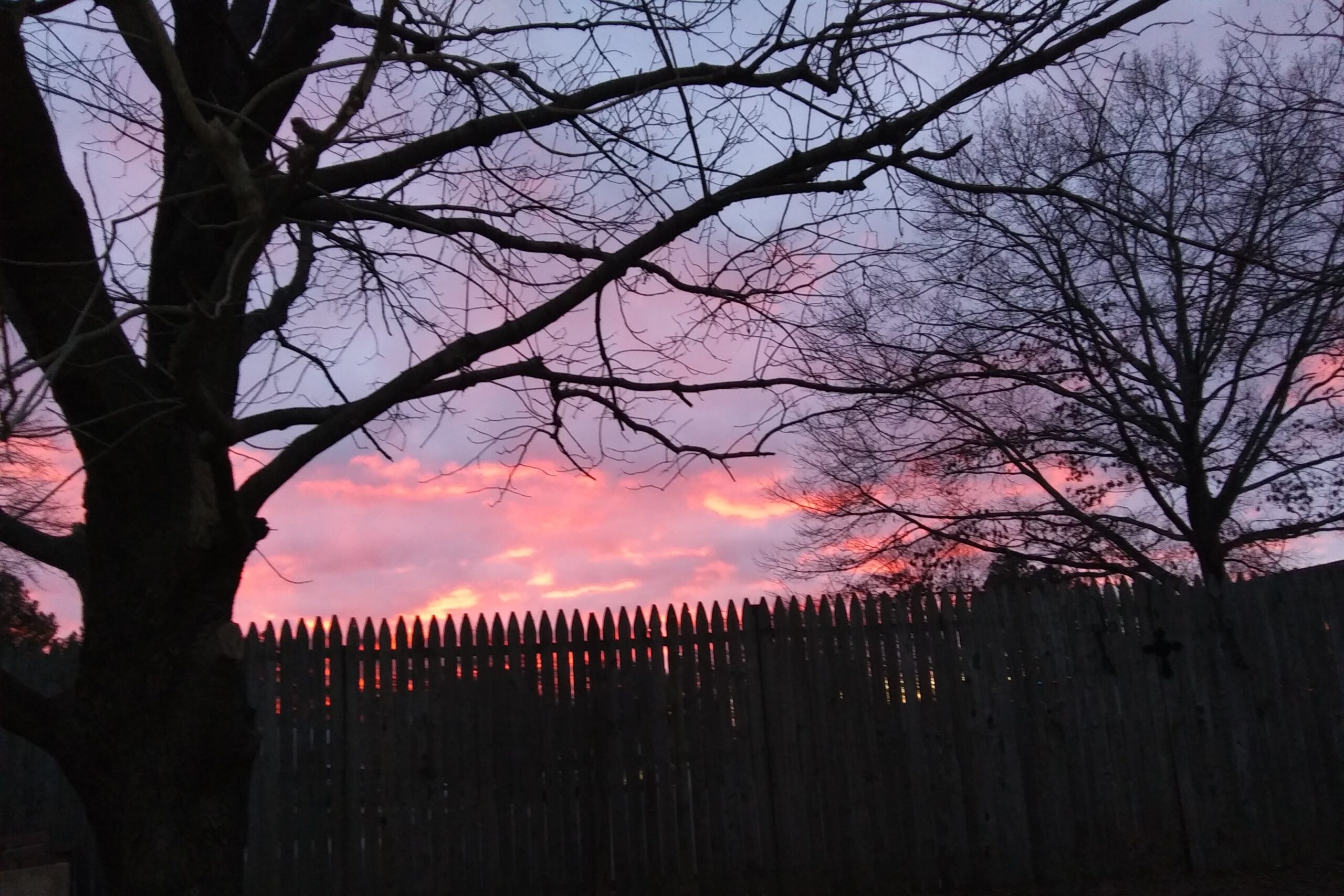 Pink and Purple Sky