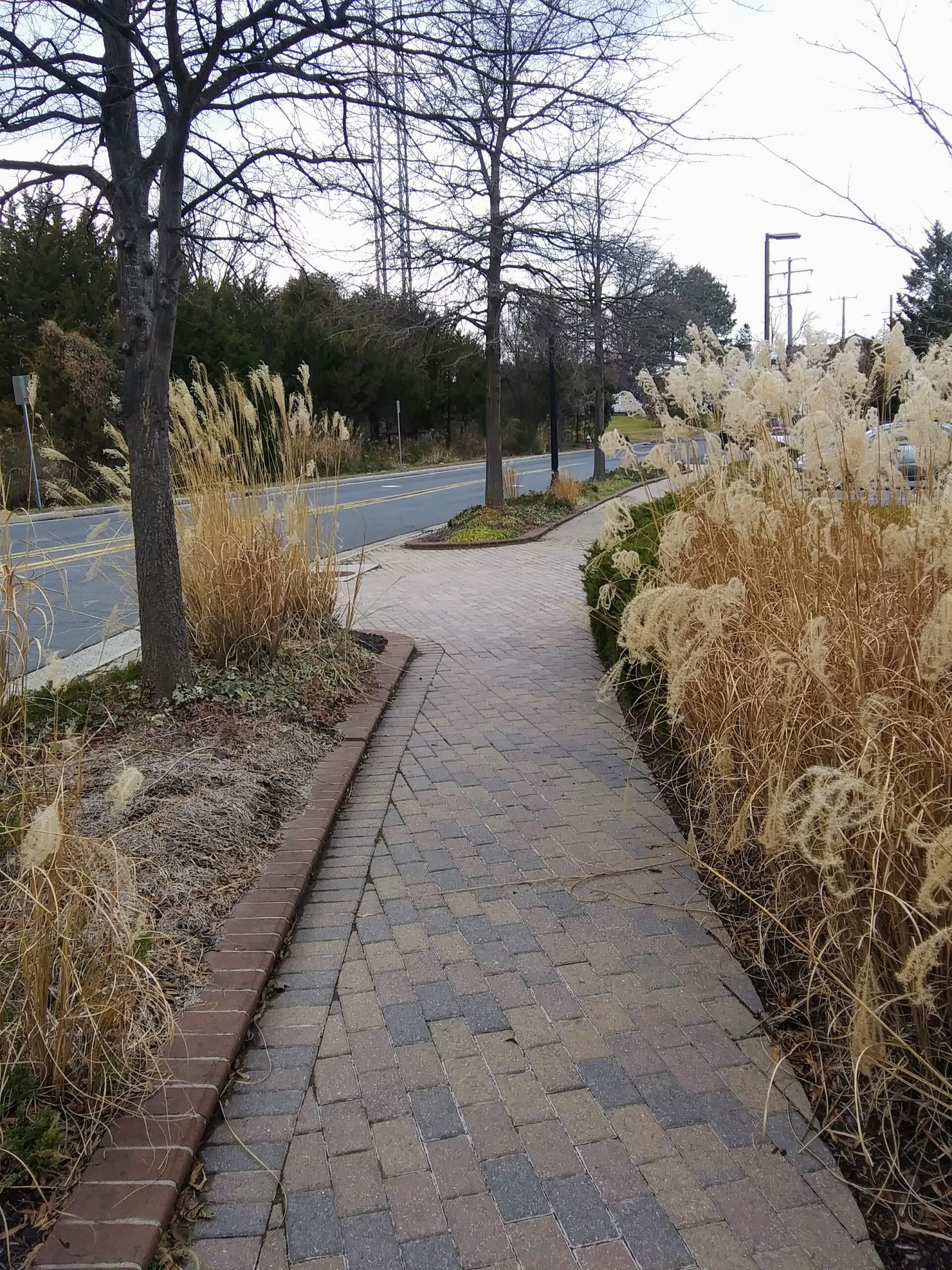 Sidewalk Near Property