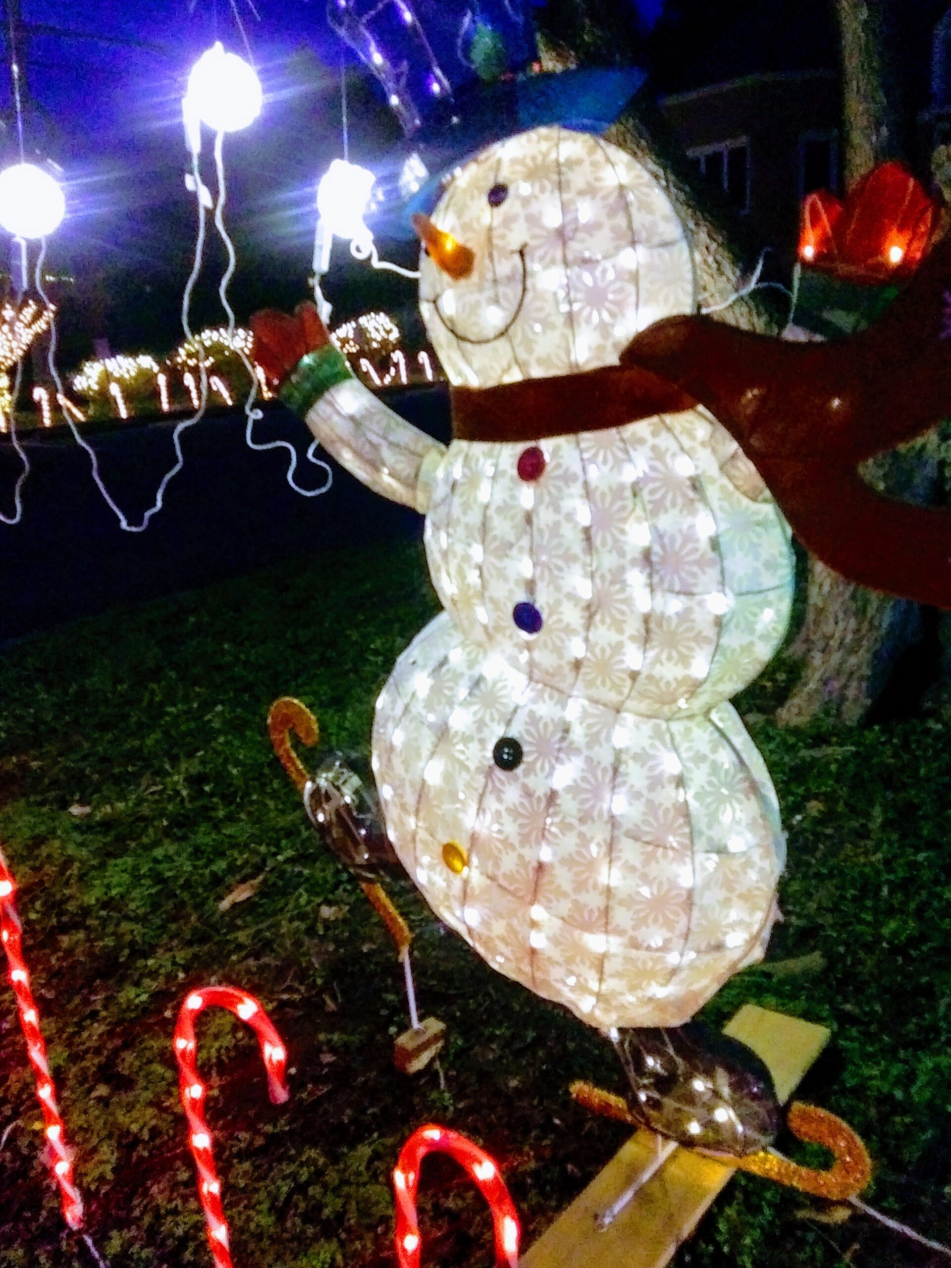 snowman and Candy Cane Fence