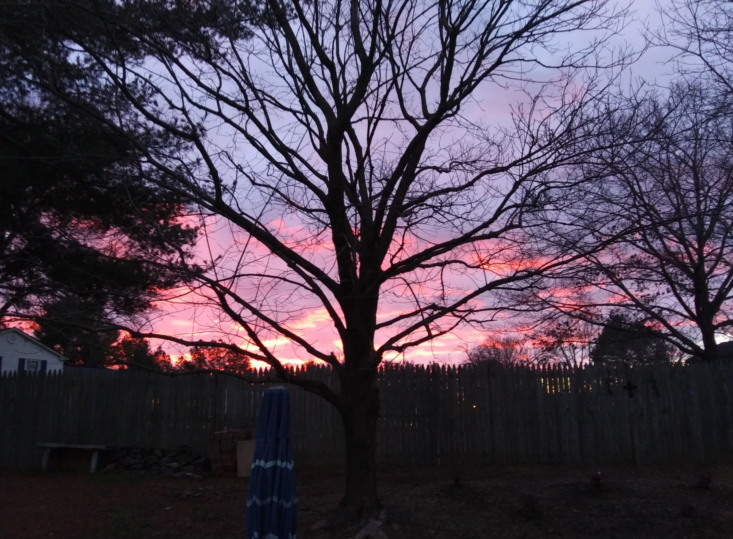 sunrise in My Back Yard