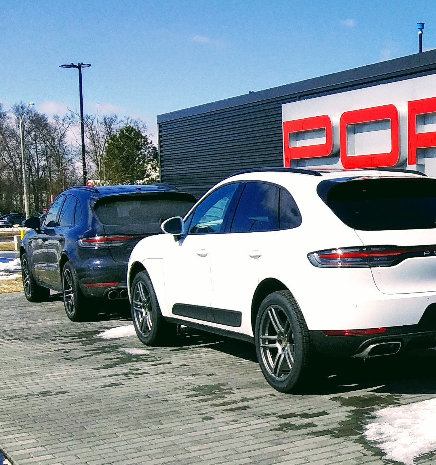 Black and White Cars on Display