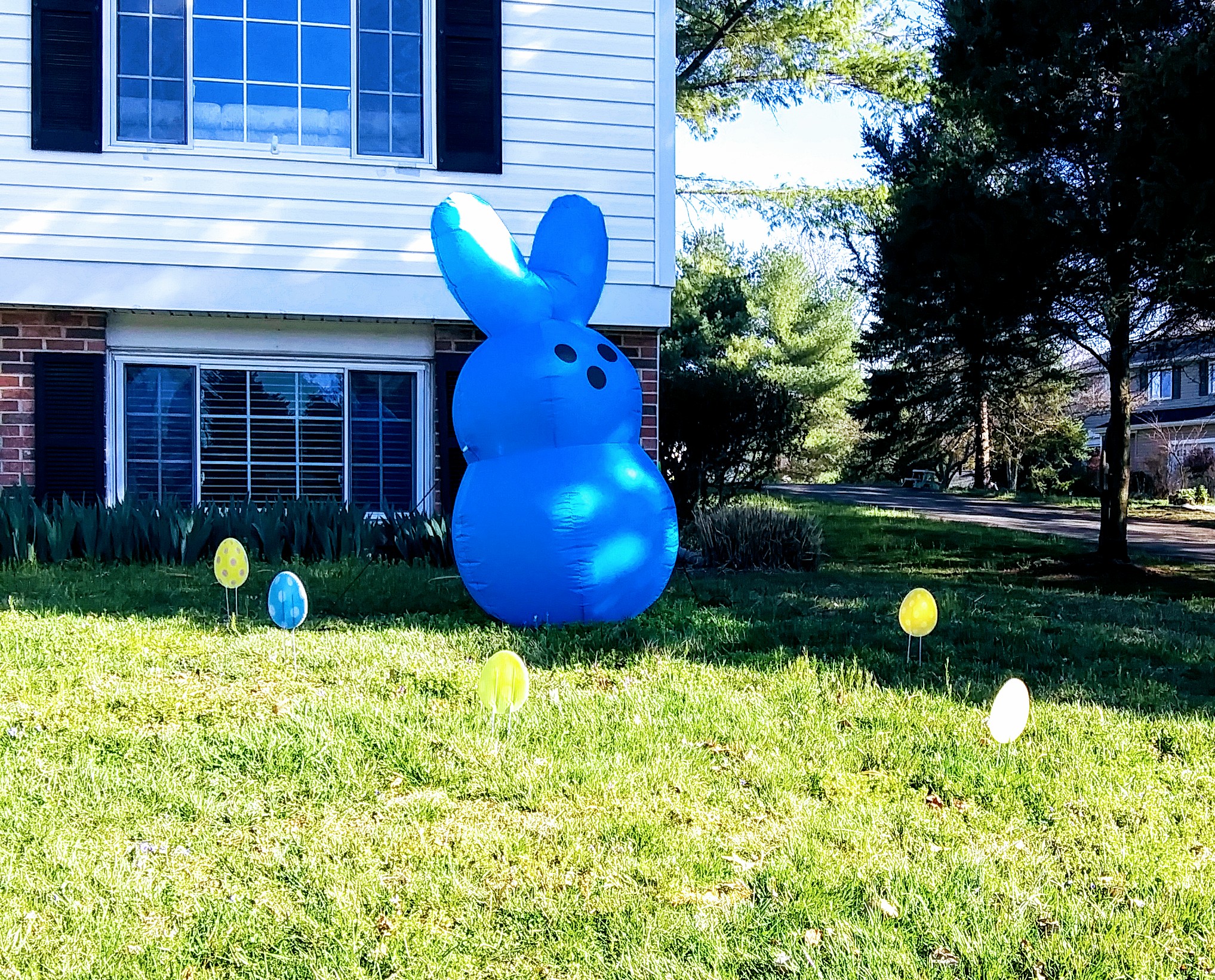 Blue Blow Up Bunny