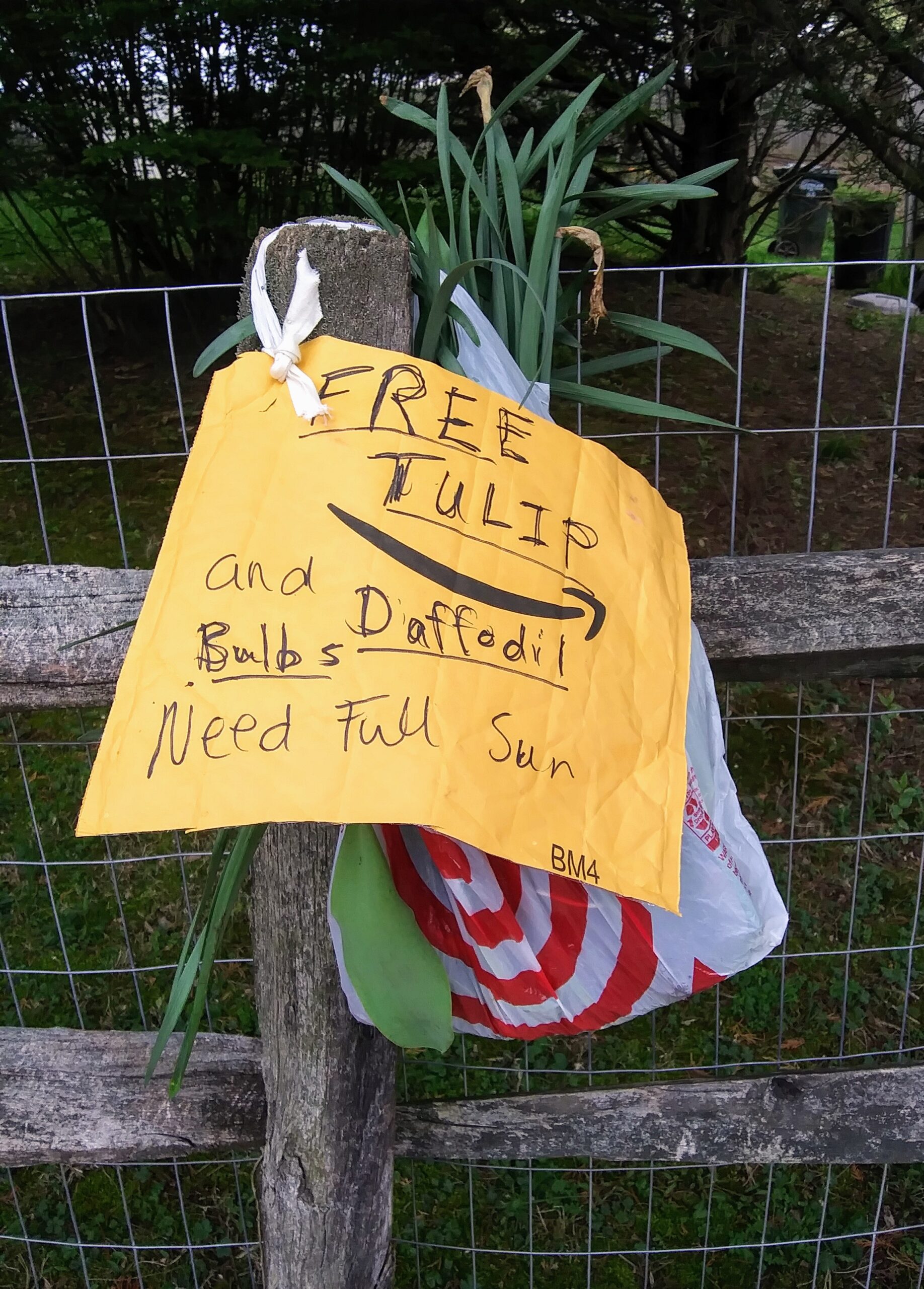 Free Tulips and Daffodils Sign