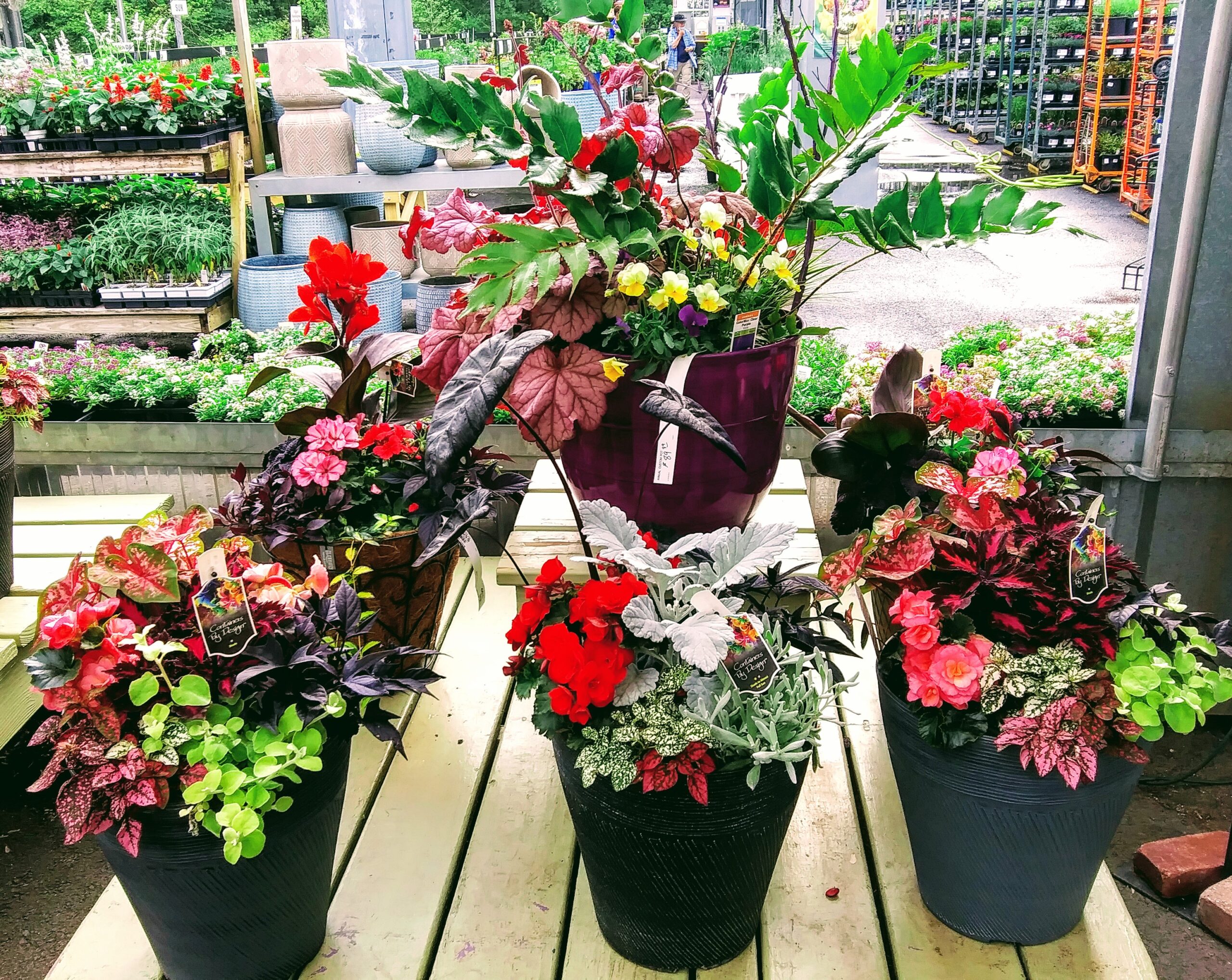 Planters Filled with Colorful Plants