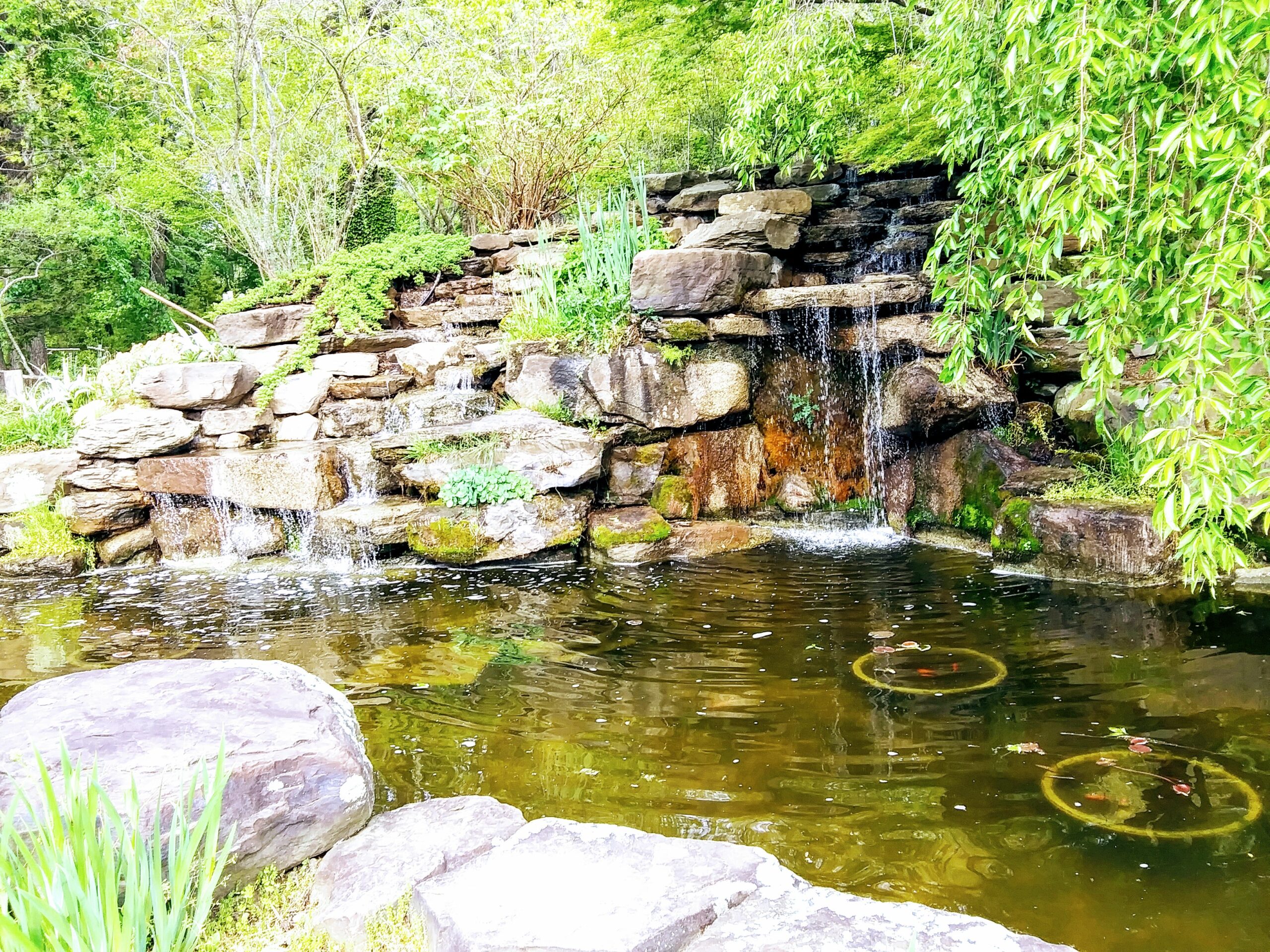 Waterfall at Merrifield Garden Center