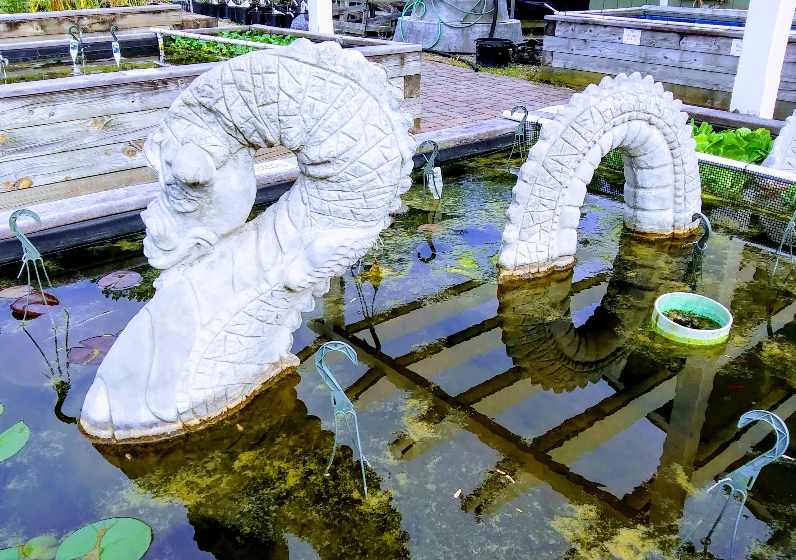 Water Serpent Sculpture in Water Lilly Pond