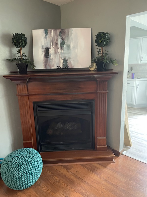 Kitchen/Dinning Room Remodel