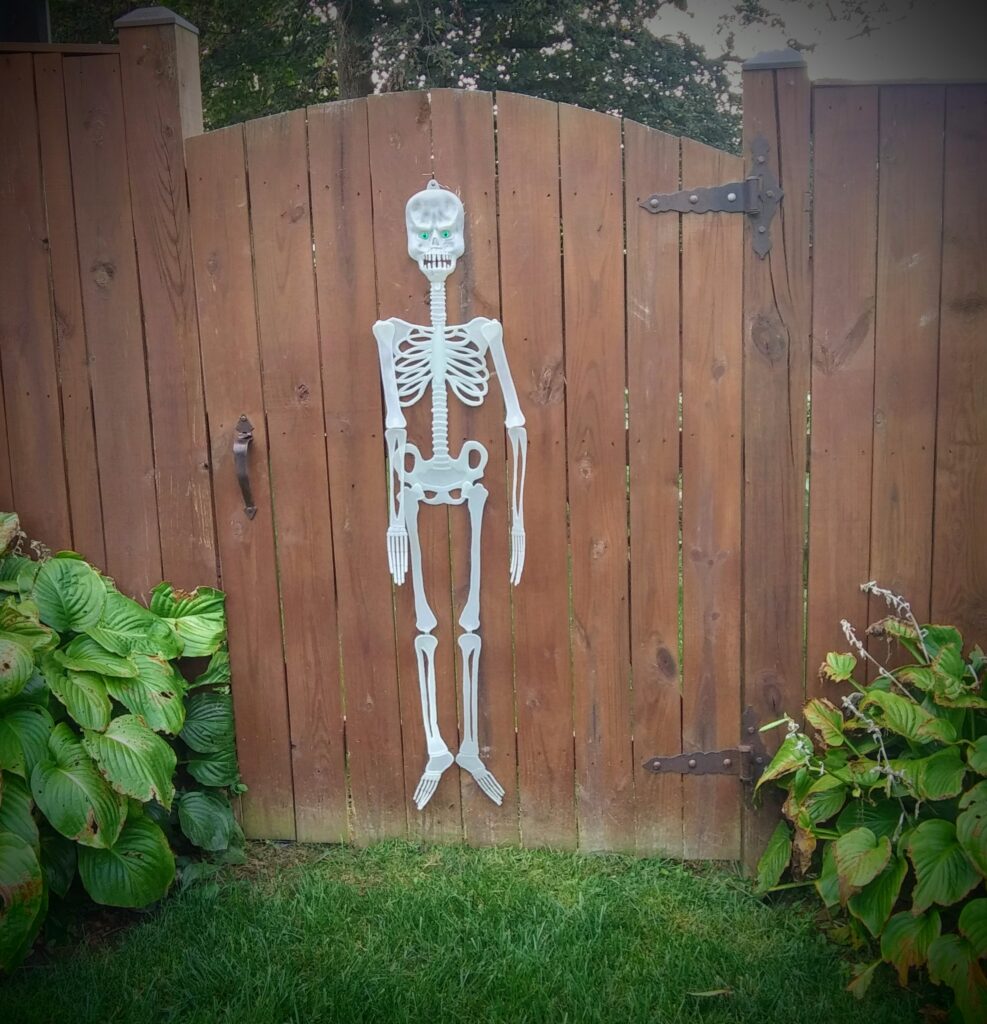 Halloween Yard Decorationb