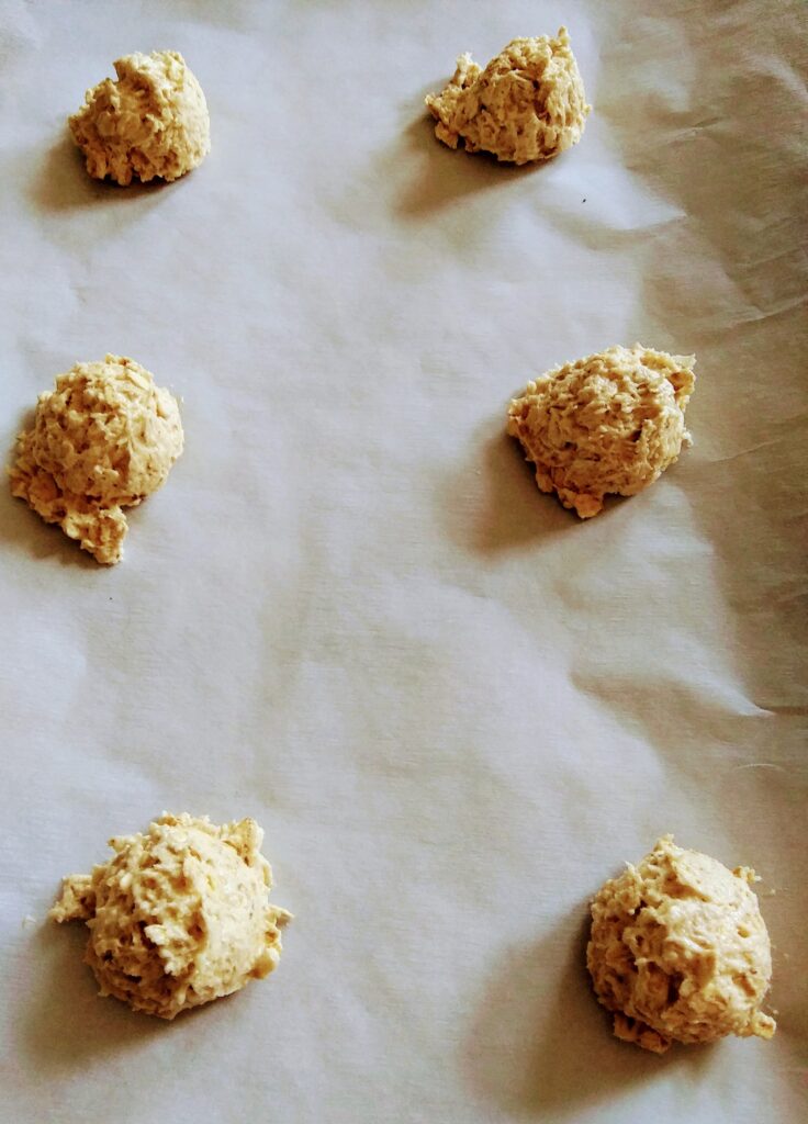 Oatmeal Coconut Cookies